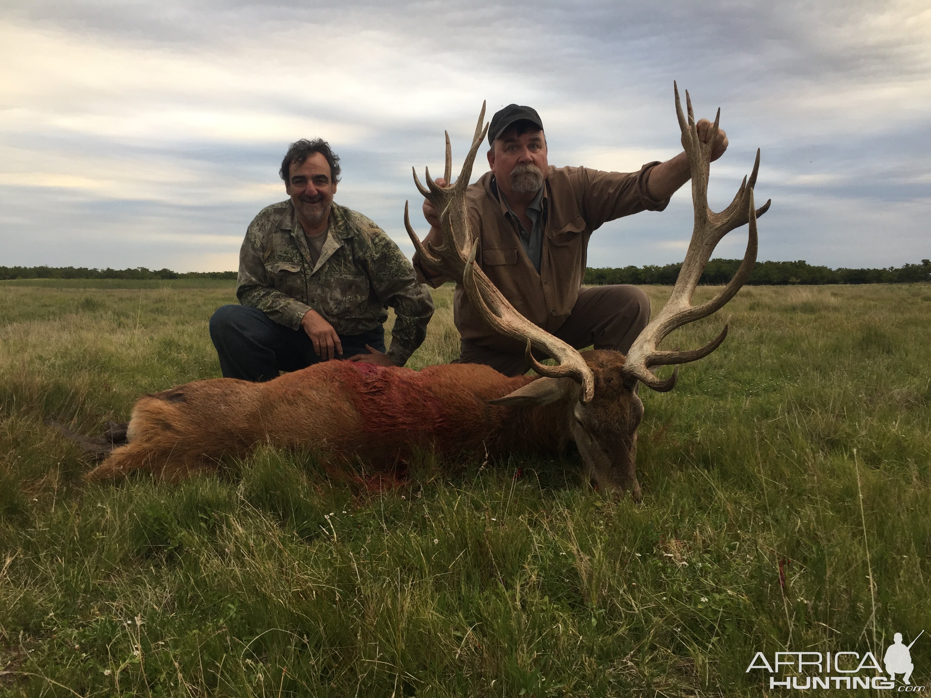 Argentina Hunting Red Stag