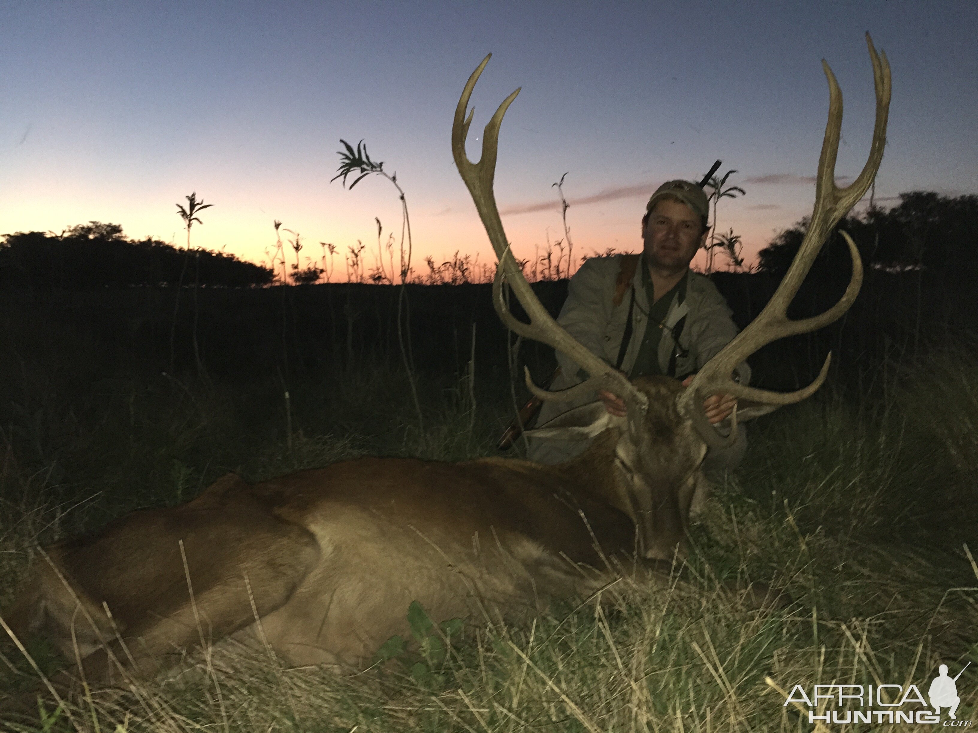 Argentina Hunting Red Stag