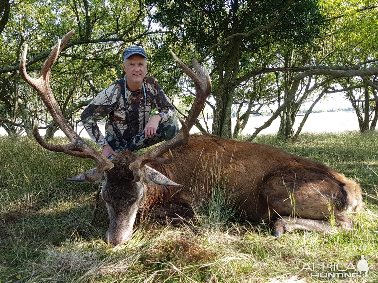 Argentina Hunting Red Stag