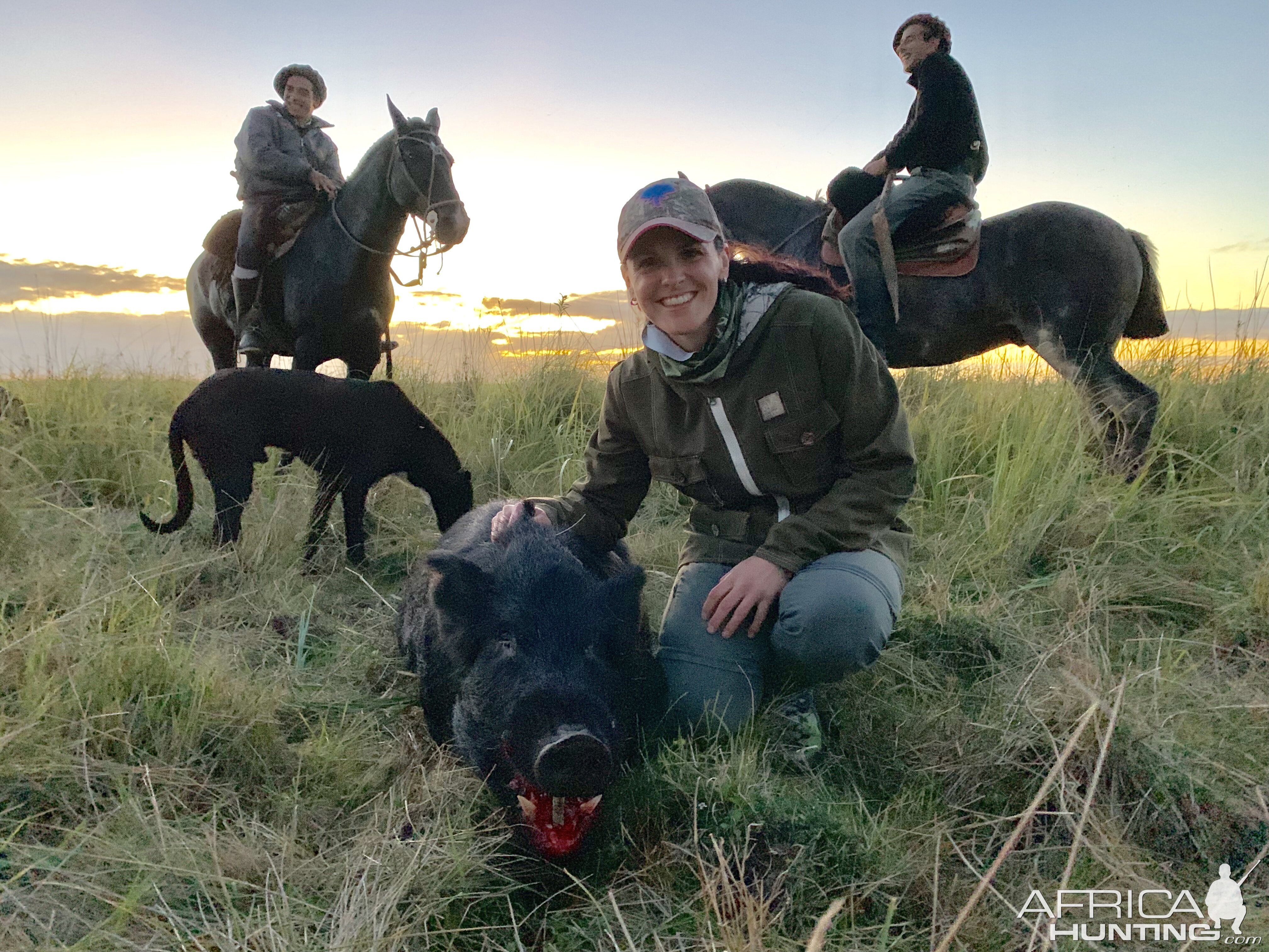 Argentina Hunting Wild Boar