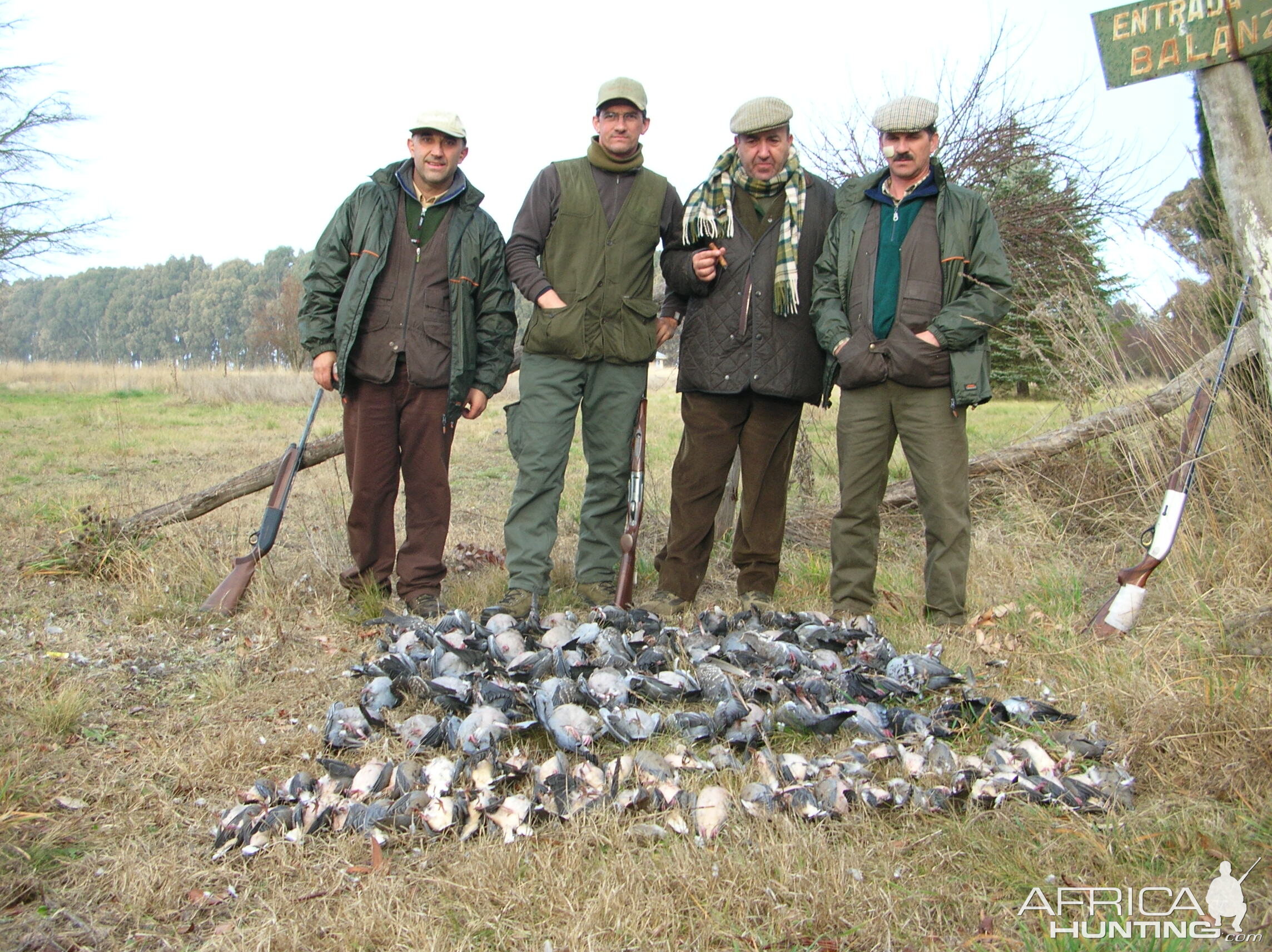 Argentina Pigeon & Dove Hunting