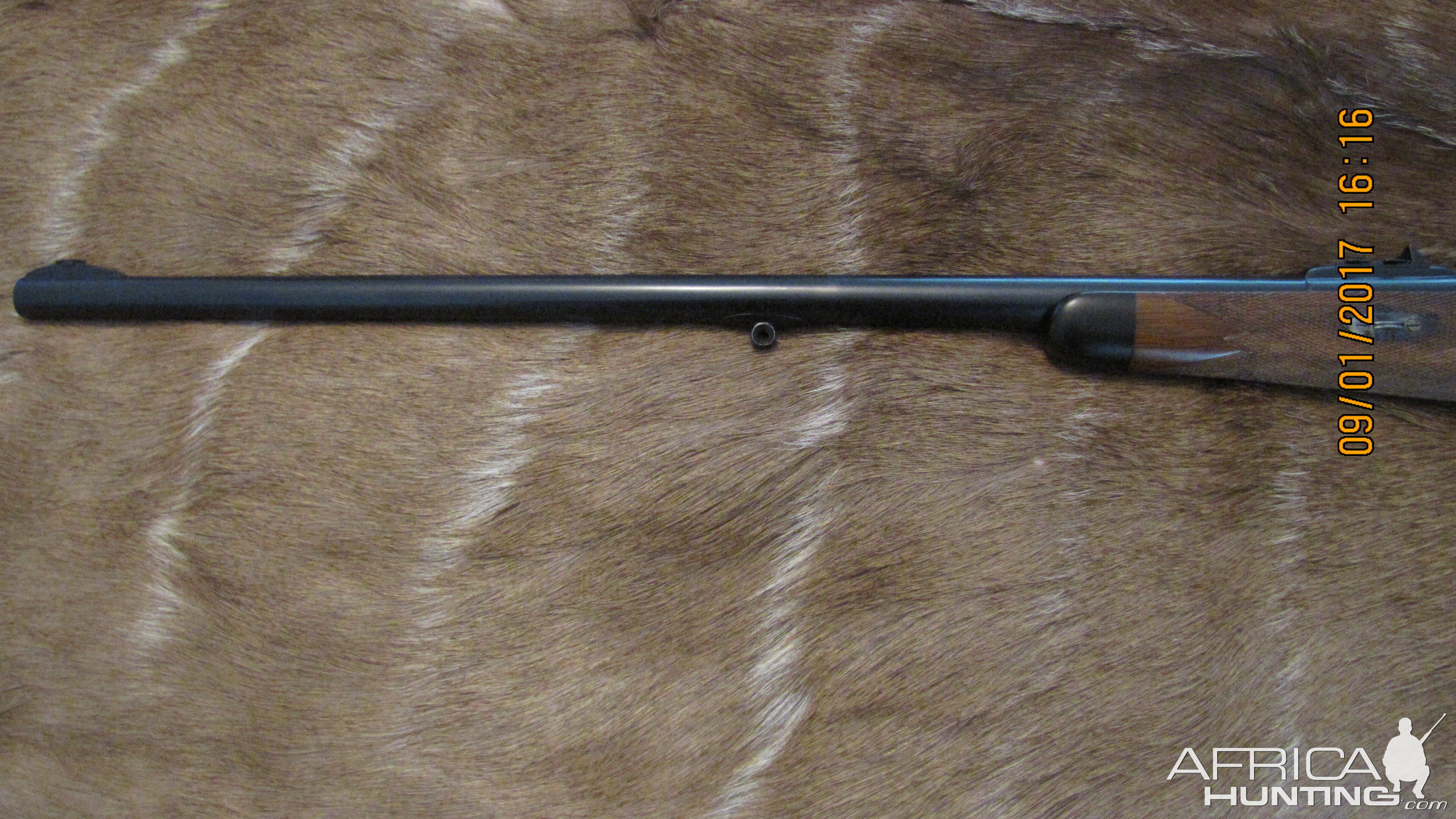 Army Navy Co-Op Society Rifle chambered in 404 Jeffery