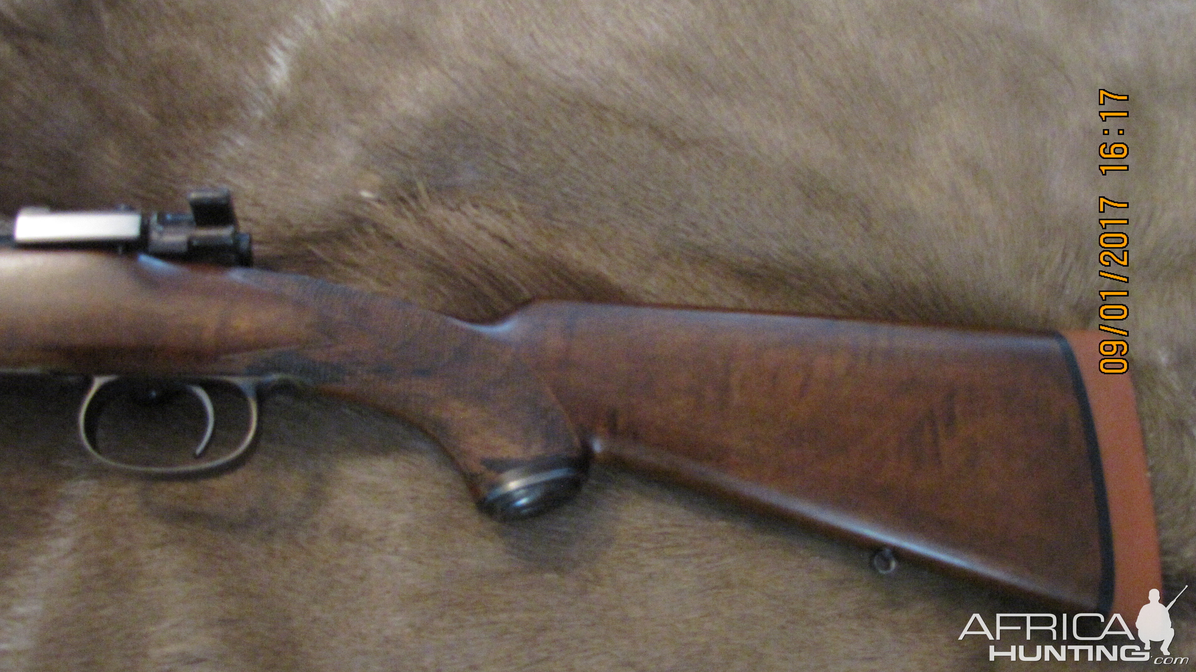 Army Navy Co-Op Society Rifle chambered in 404 Jeffery