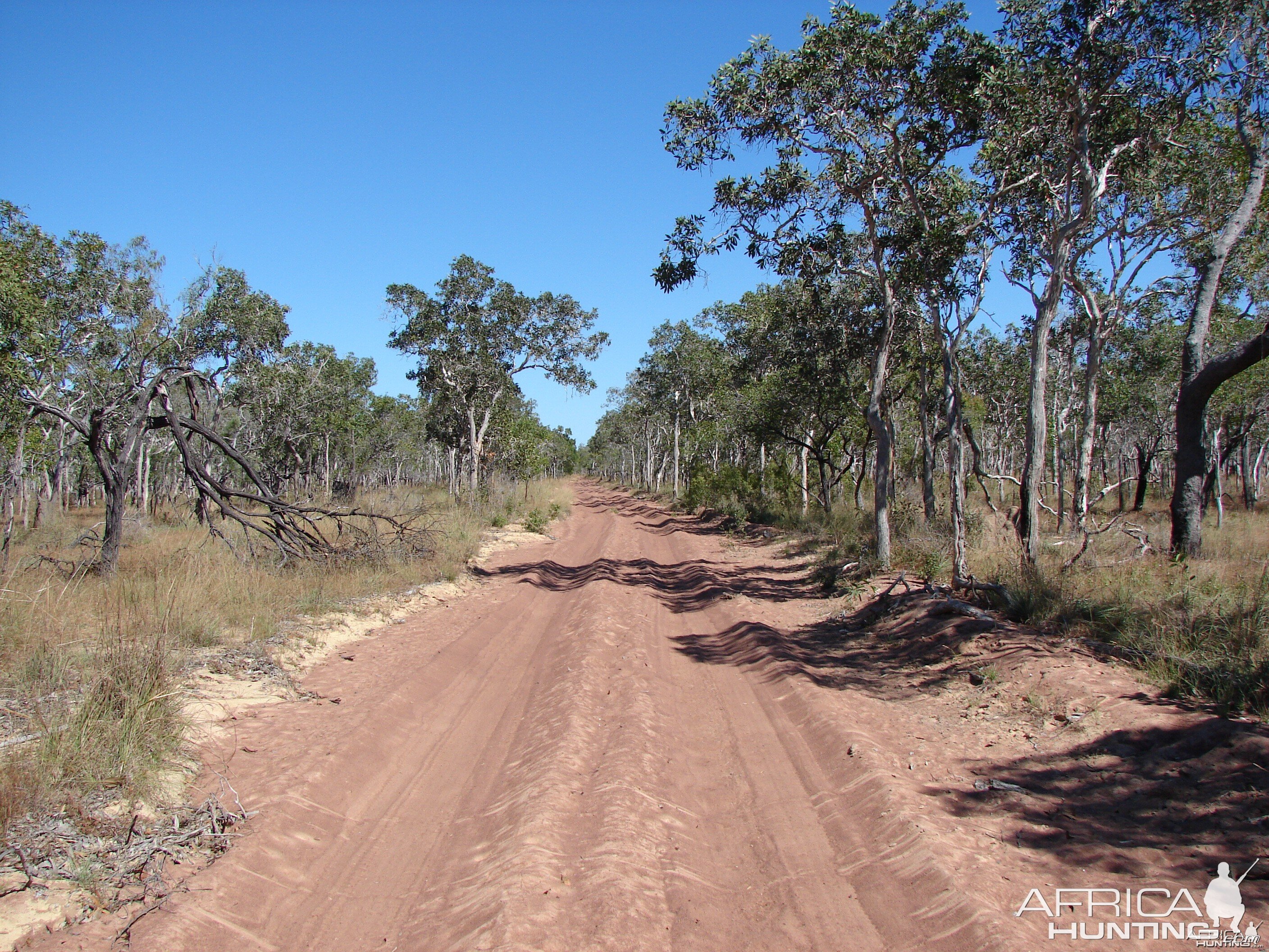 Arnhemland scenery & wildlife.