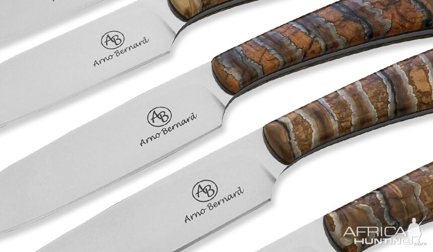 https://www.africahunting.com/media/arno-bernard-mammoth-molar-handled-steak-knives-from-african-sporting-creations.93630/full