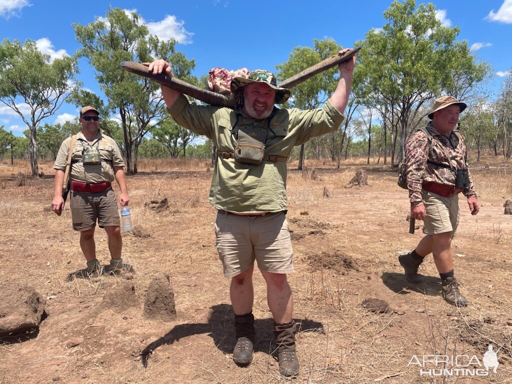 Asiatic Water Buffalo Hunt Australia