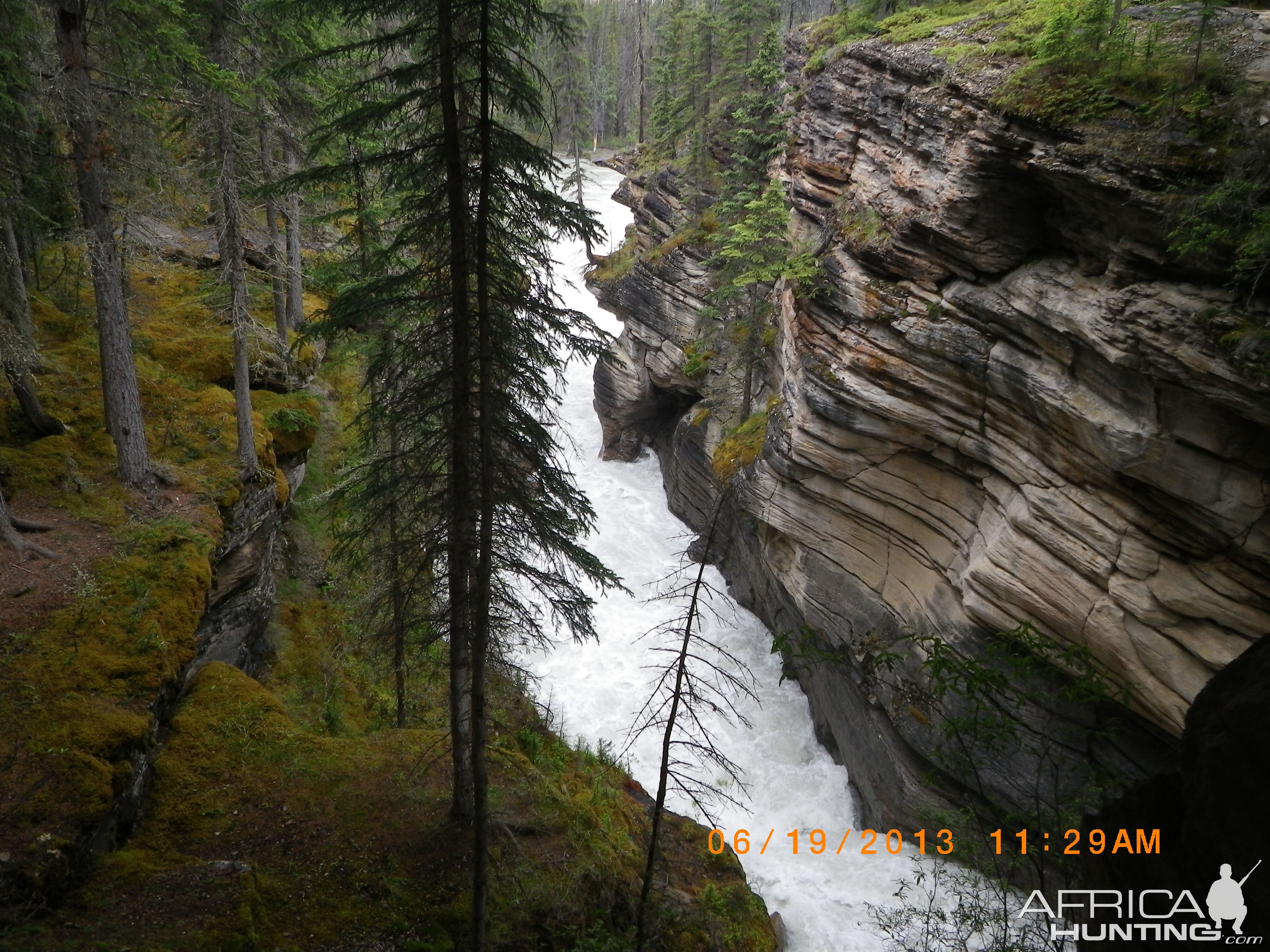 Athabasca Falls in Jasper National Park Canada