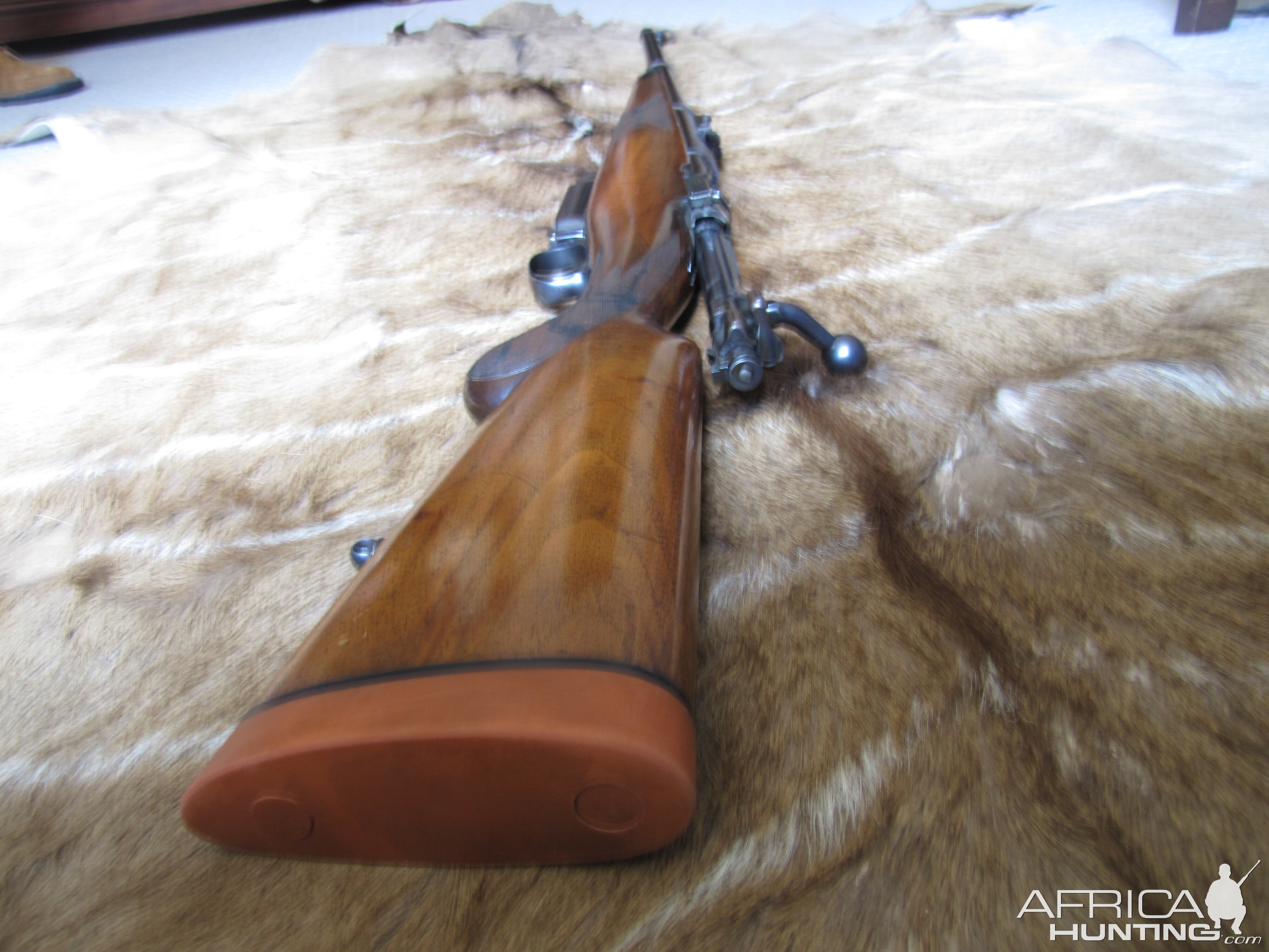 August Schuler Rifle chambered in a 500 Schuler