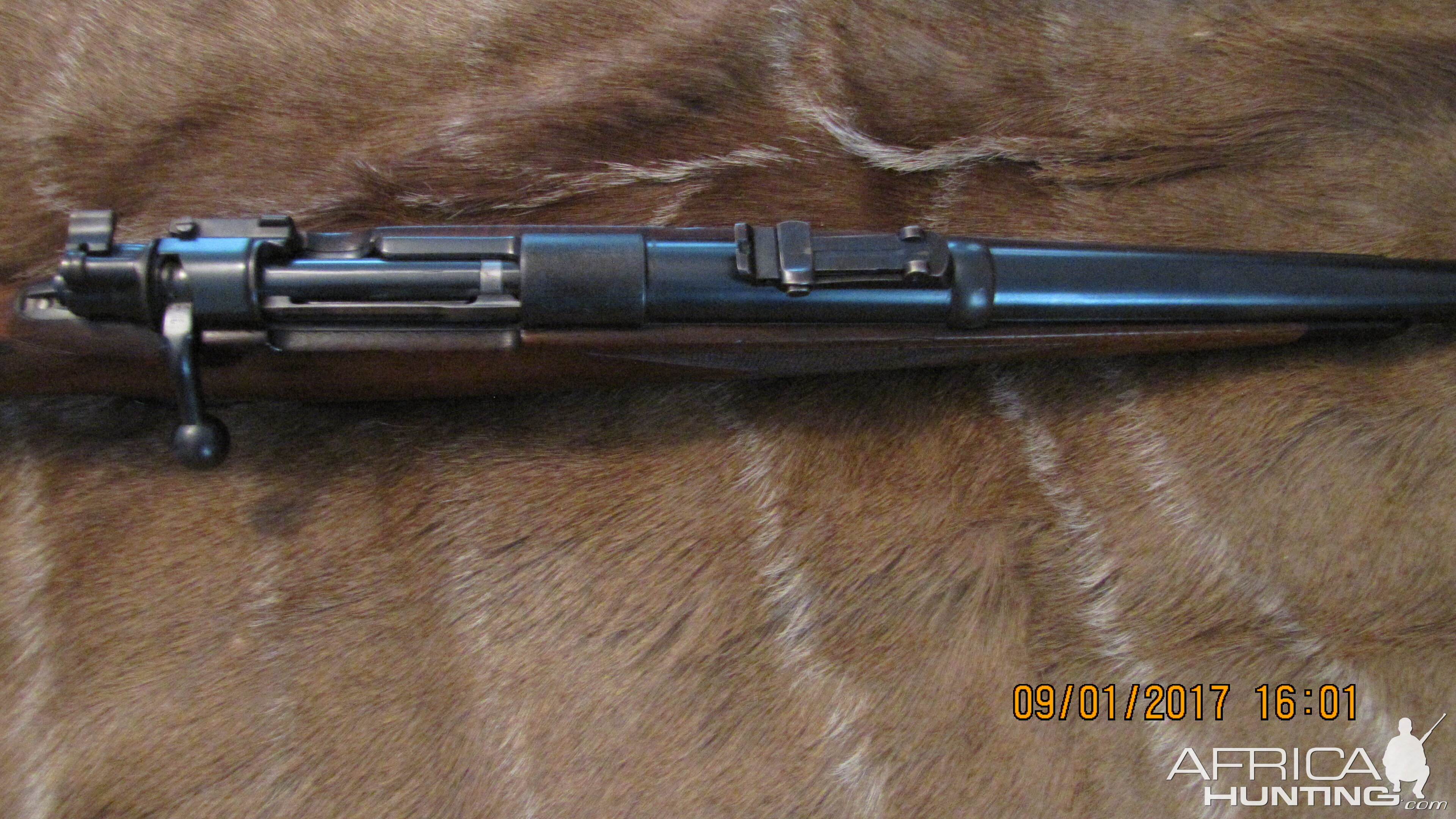 August Schuler Rifle chambered in a 500 Schuler