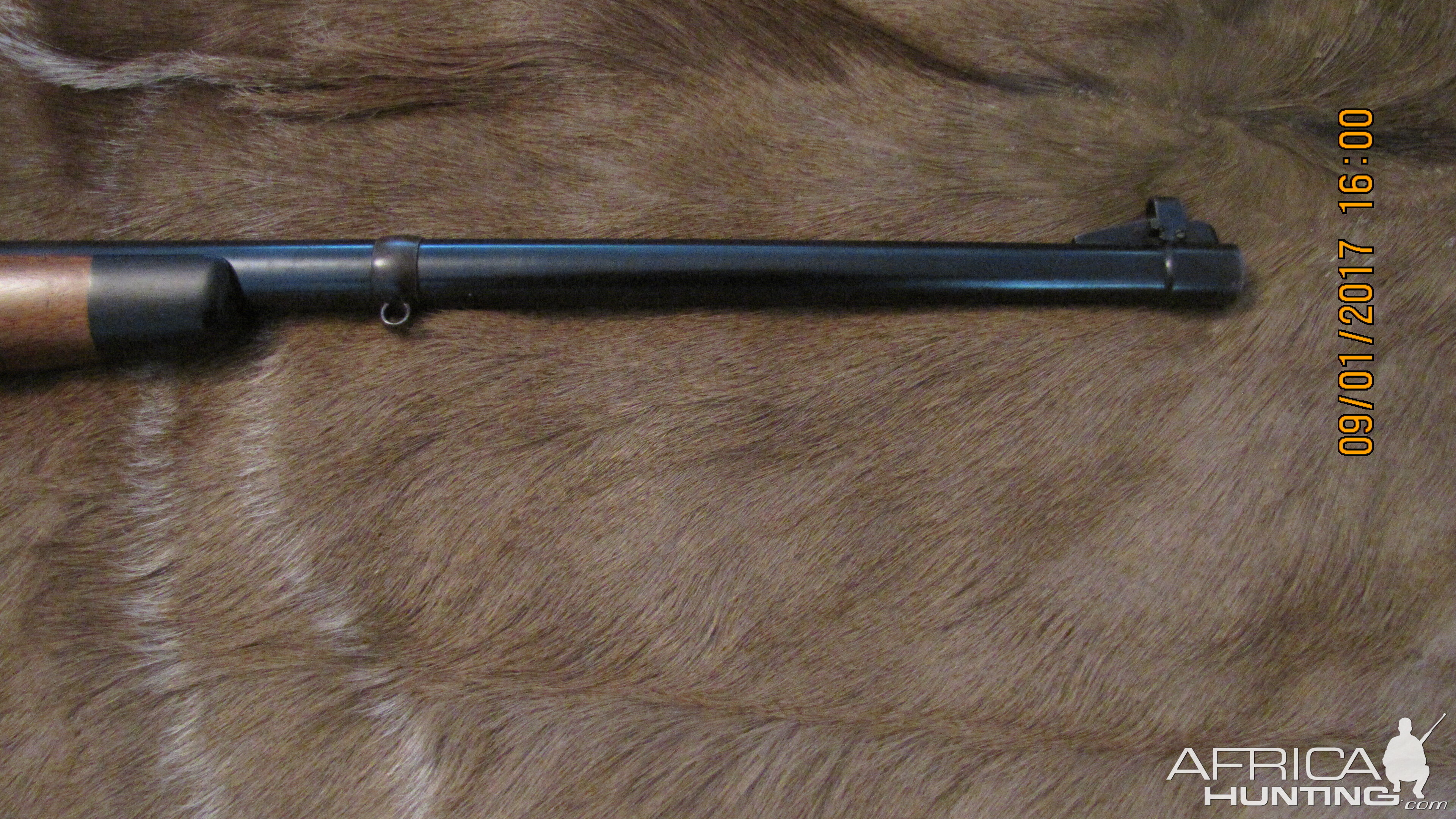 August Schuler Rifle chambered in a 500 Schuler