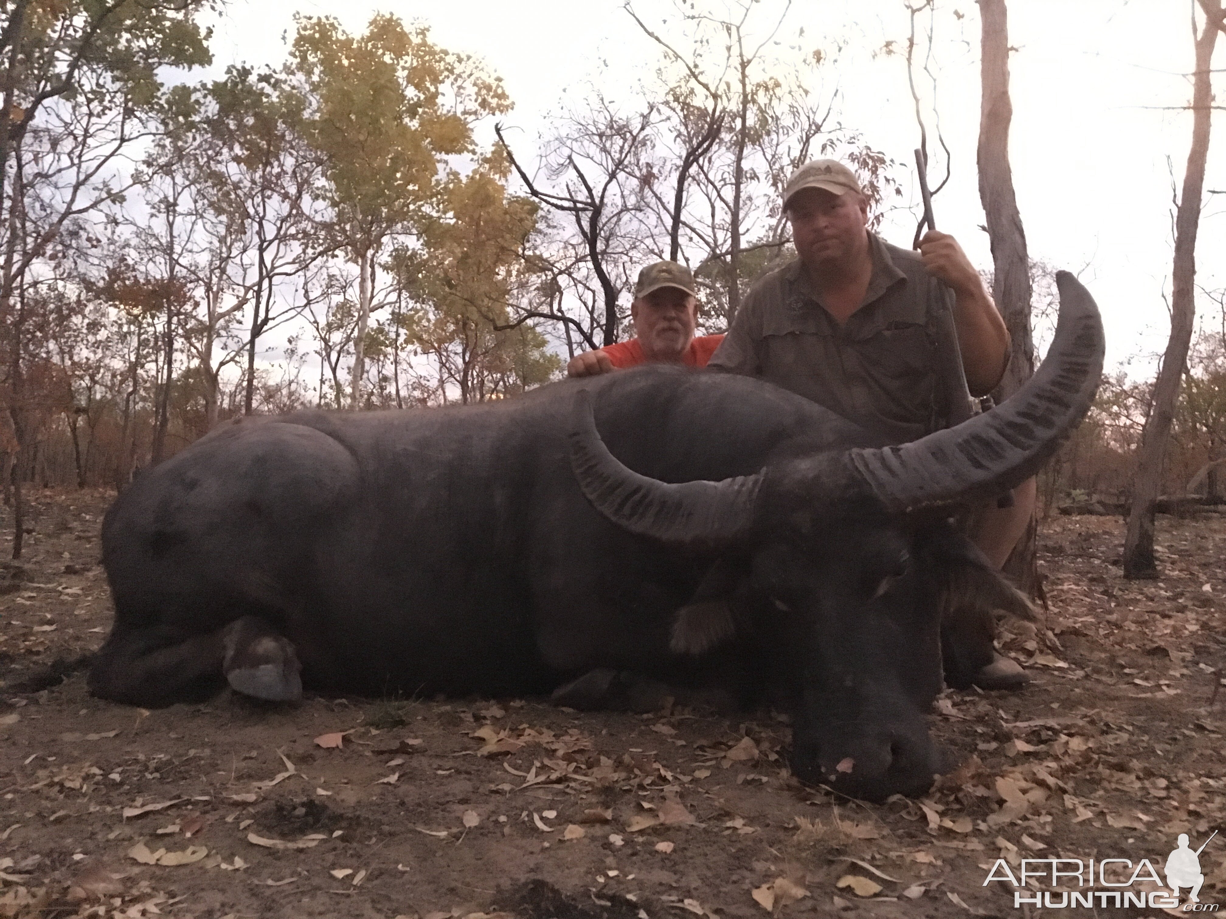 Australia Hunt Asiatic Water Buffalo