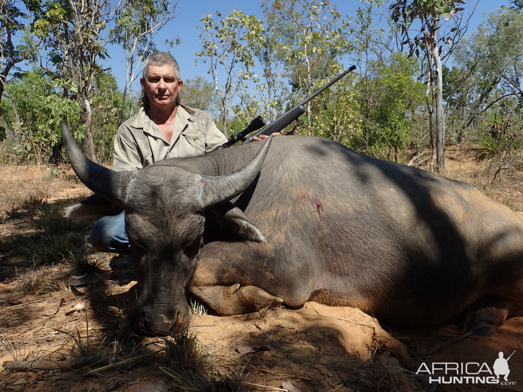 Australia Hunting Asiatic Water Buffalo