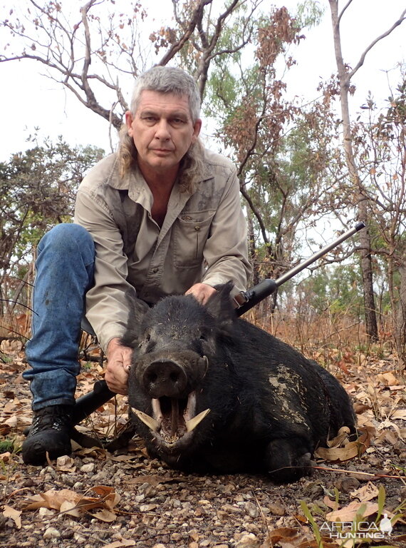 Australia Hunting Boar