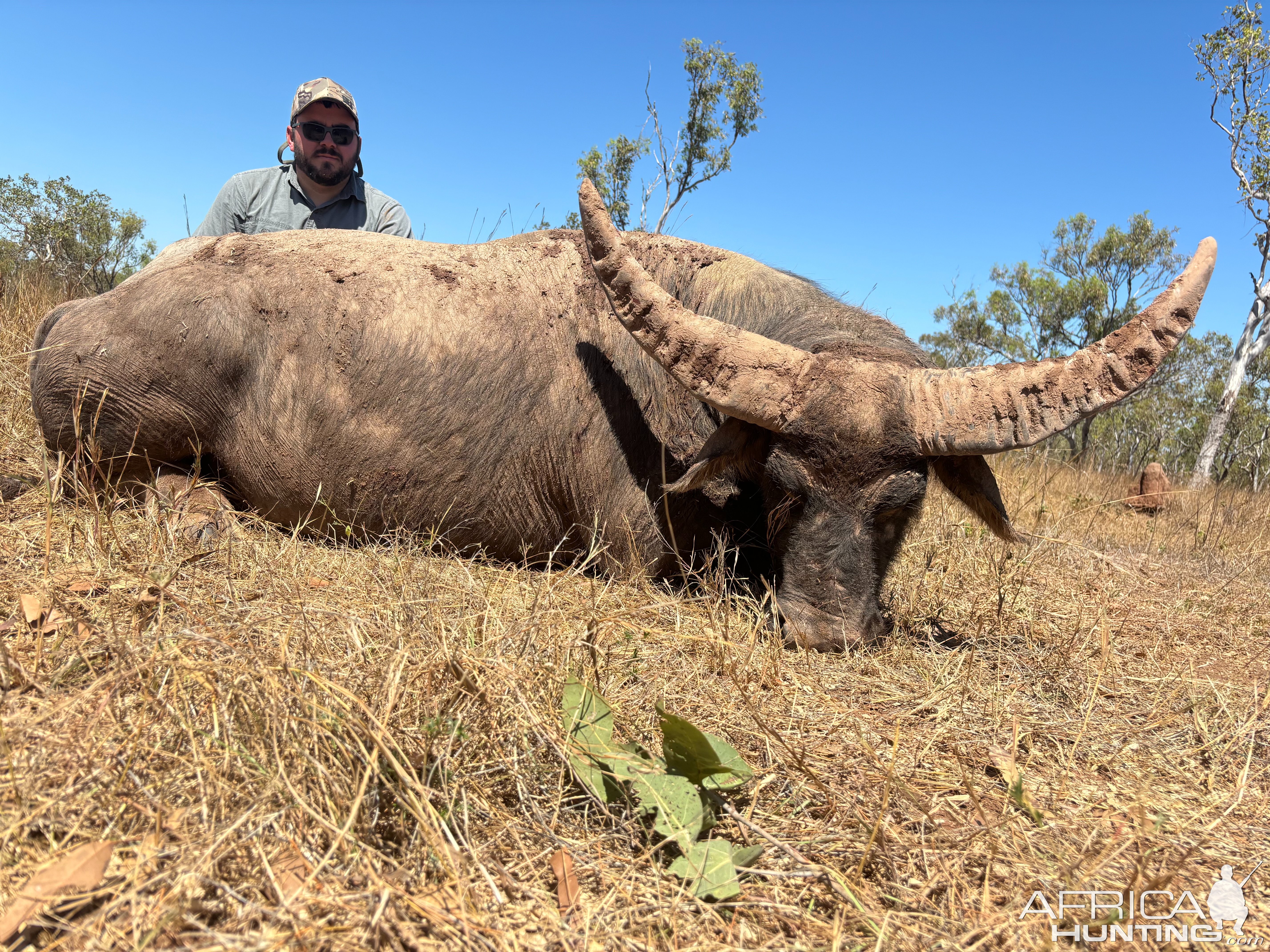 Australia Water Buffalo Hunt