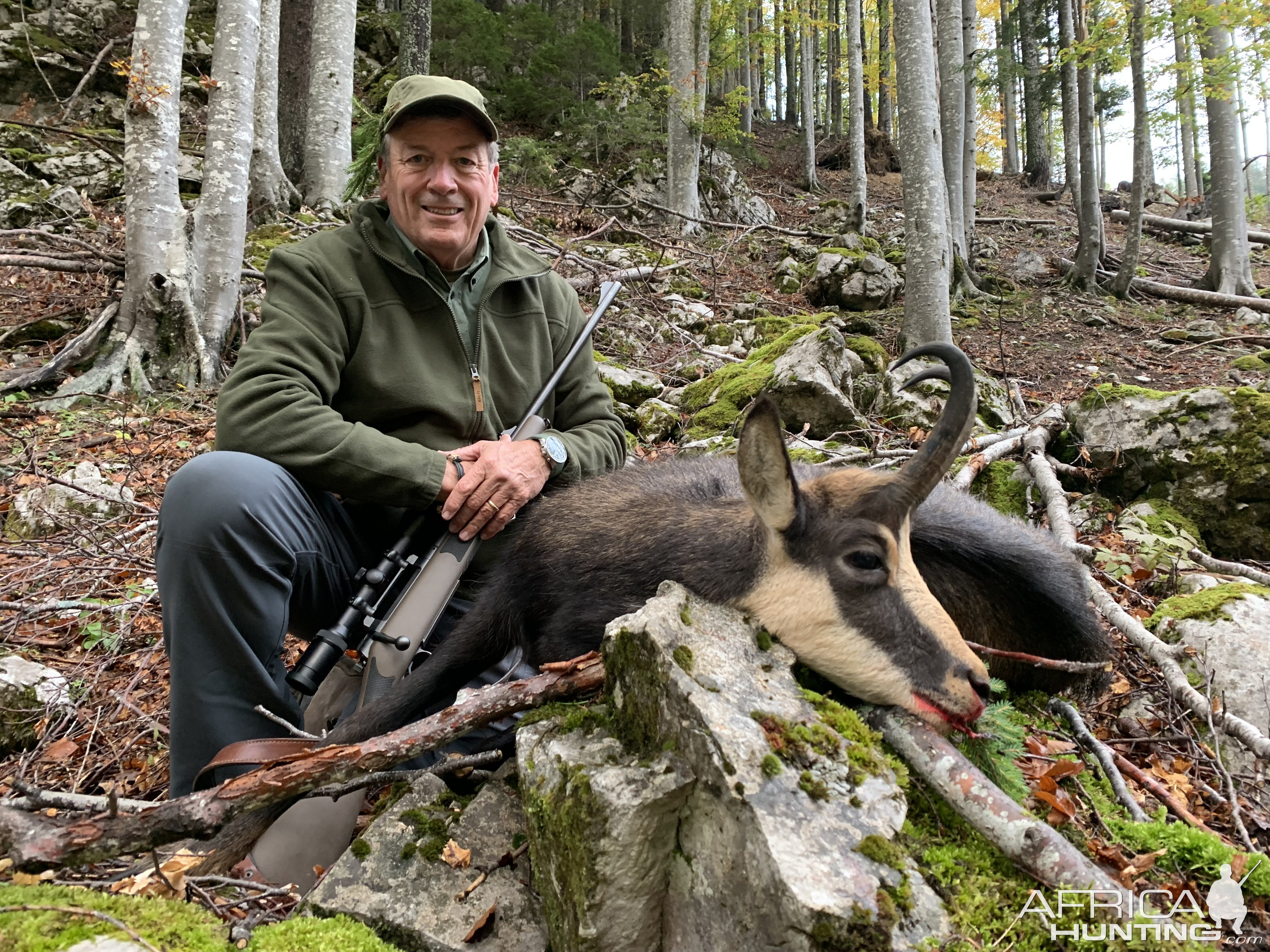 Austrian Chamois Hunt