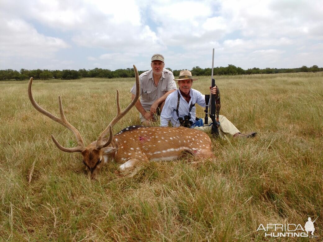 Axis Deer Hunt Argentina