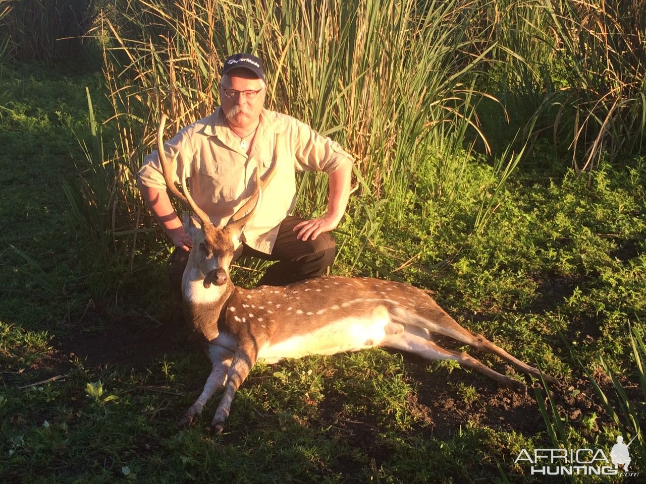 Axis Deer Hunt Argentina