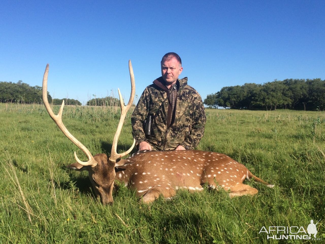 Axis Deer Hunting Argentina