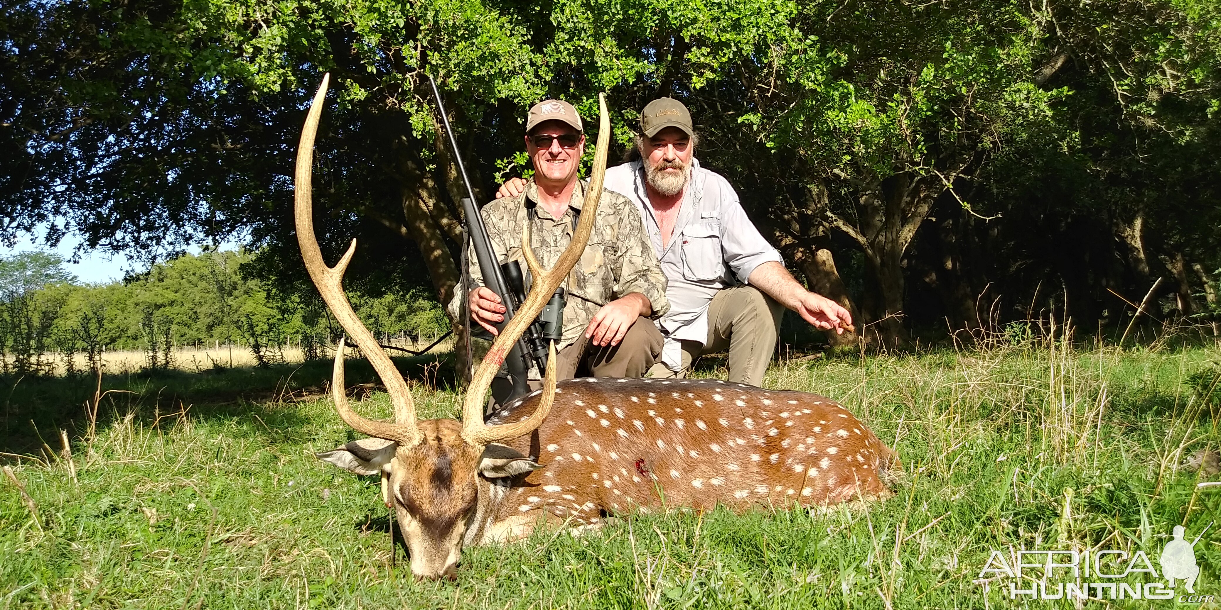 Axis Deer Hunting Argentina