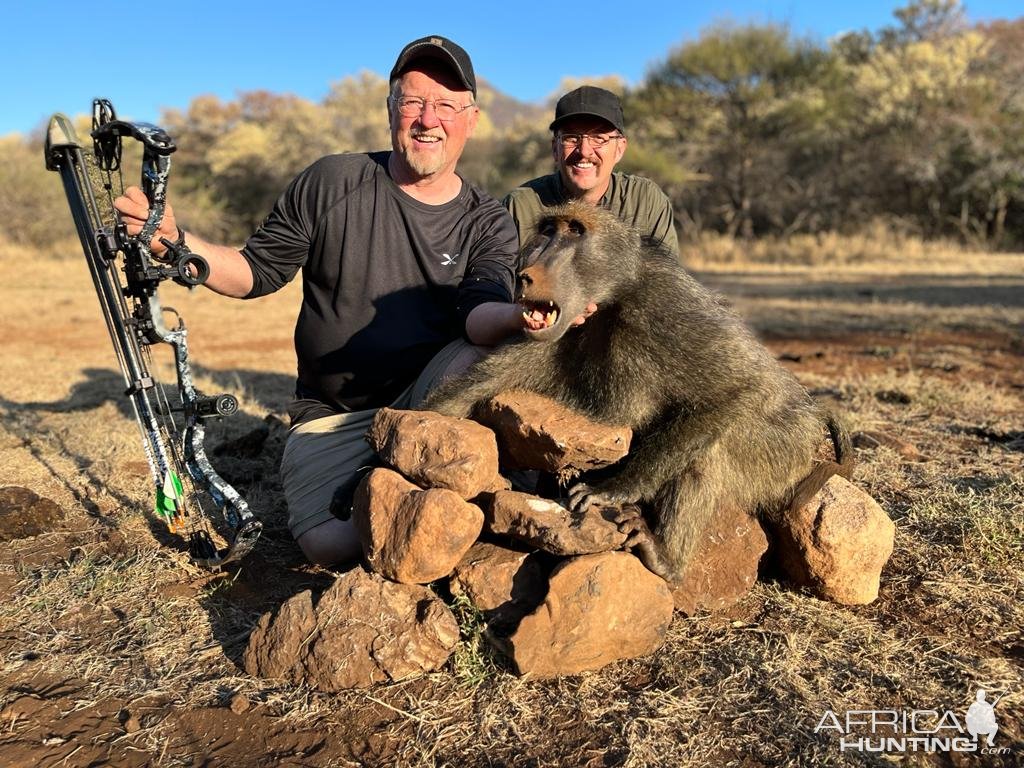 Baboon Bow Hunt South Africa