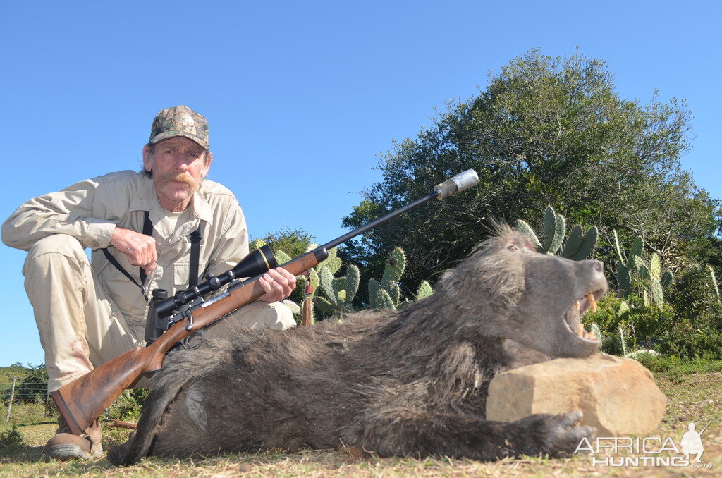 Baboon Hunt in South Africa