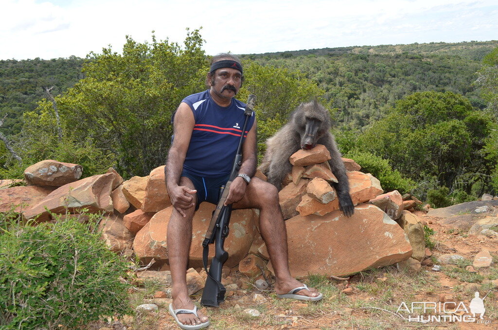 Baboon Hunt in South Africa