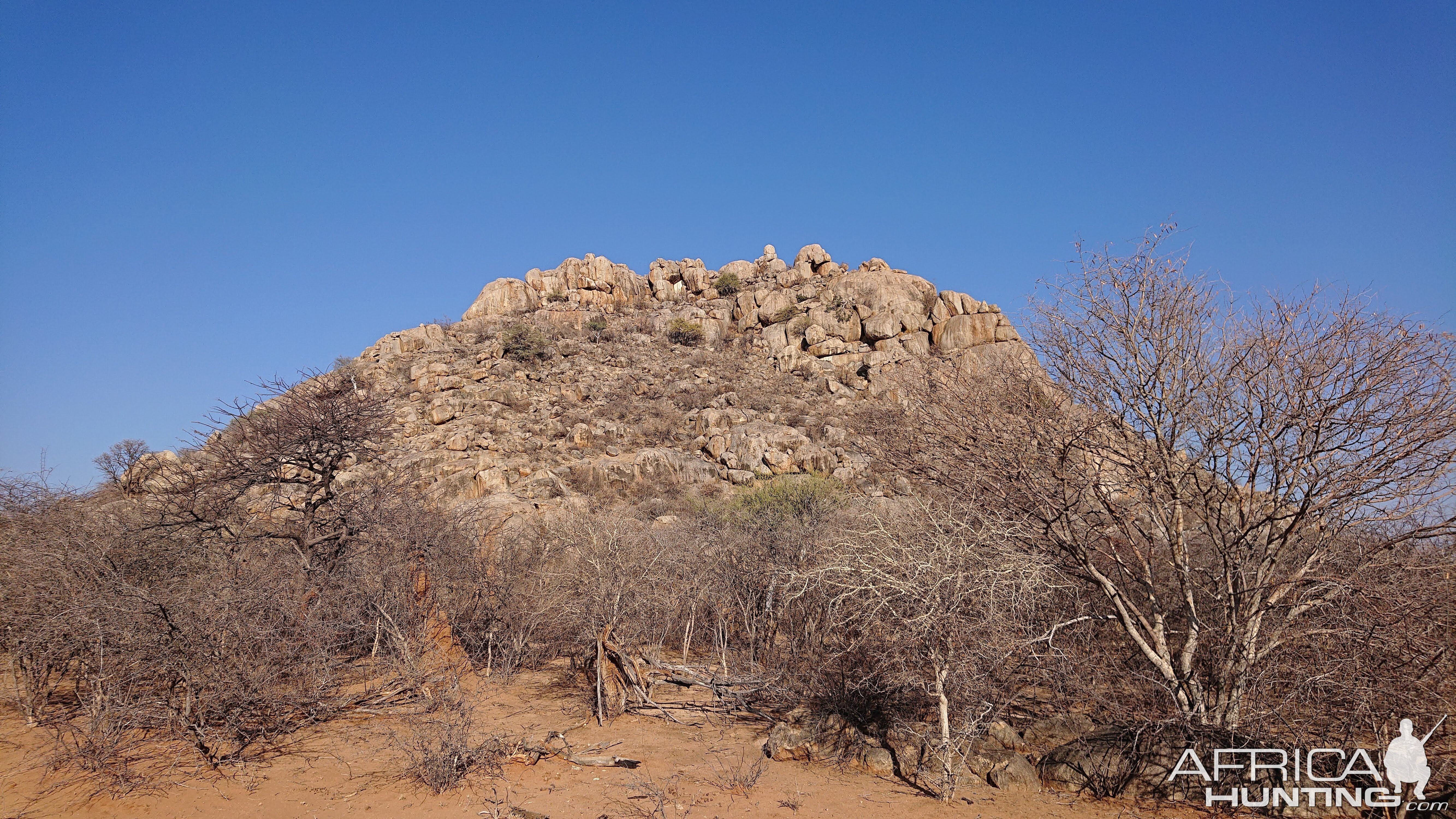 Baboon Hunt Namibia