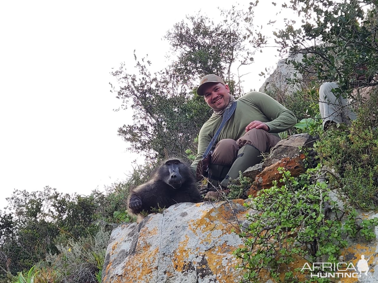 Baboon Hunt South Africa