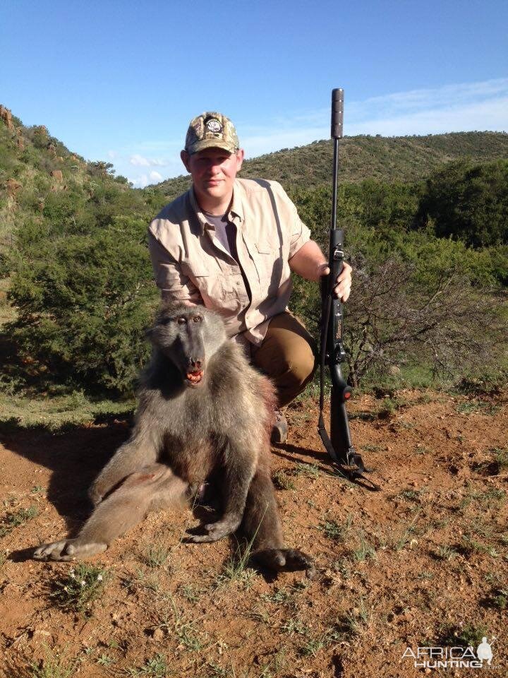 Baboon Hunt South Africa