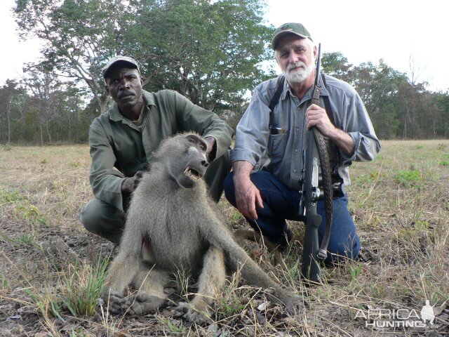 Baboon Hunt