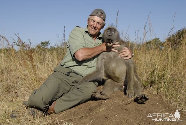 Baboon Hunt