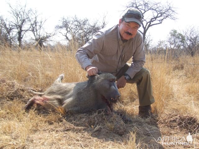 Baboon Hunt