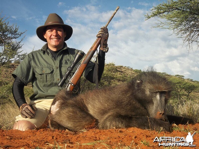 Baboon hunted with Wintershoek Johnny Vivier Safaris