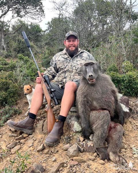 Baboon Hunting Eastern Cape South Africa