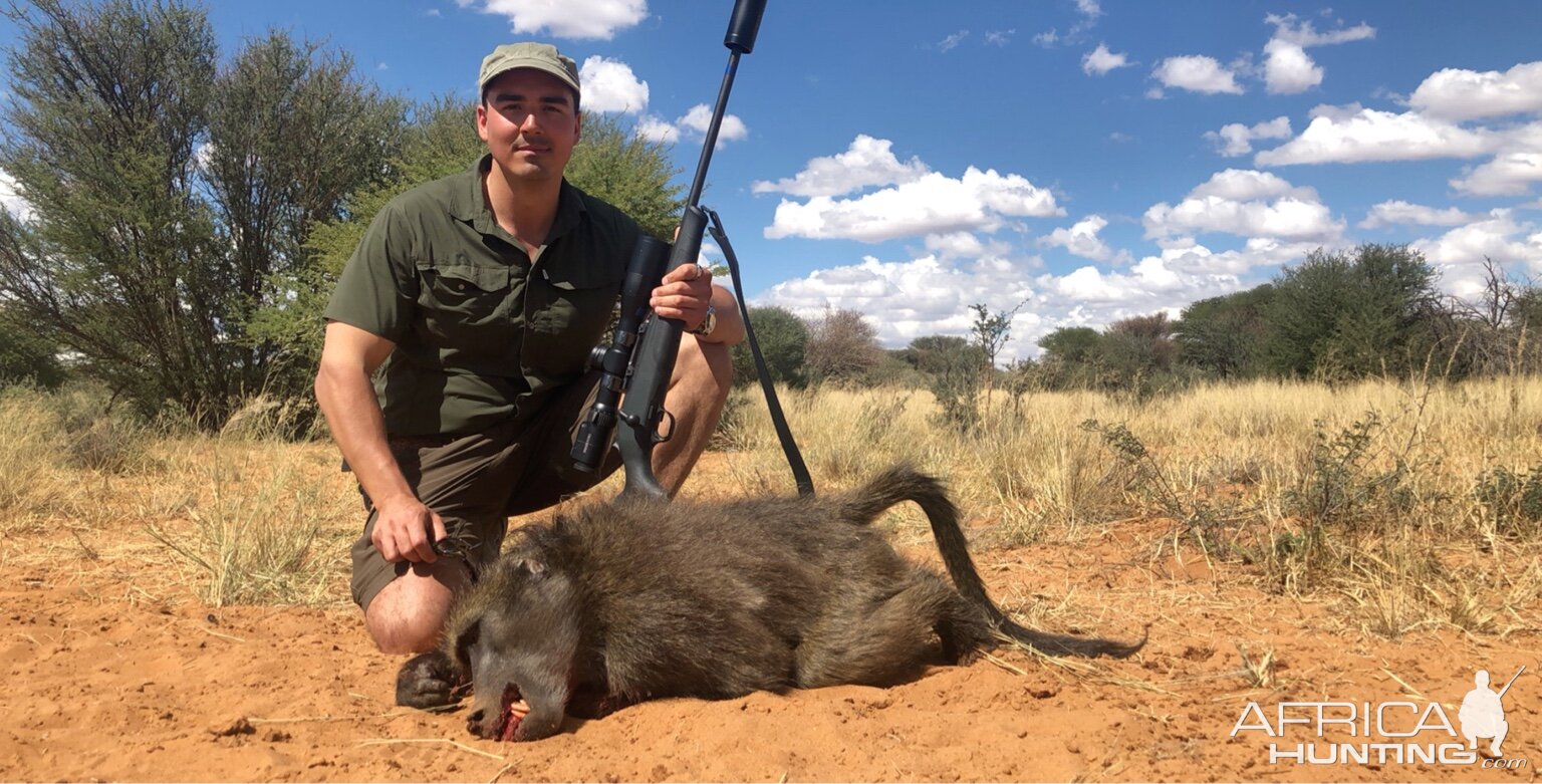 Baboon Hunting Namibia