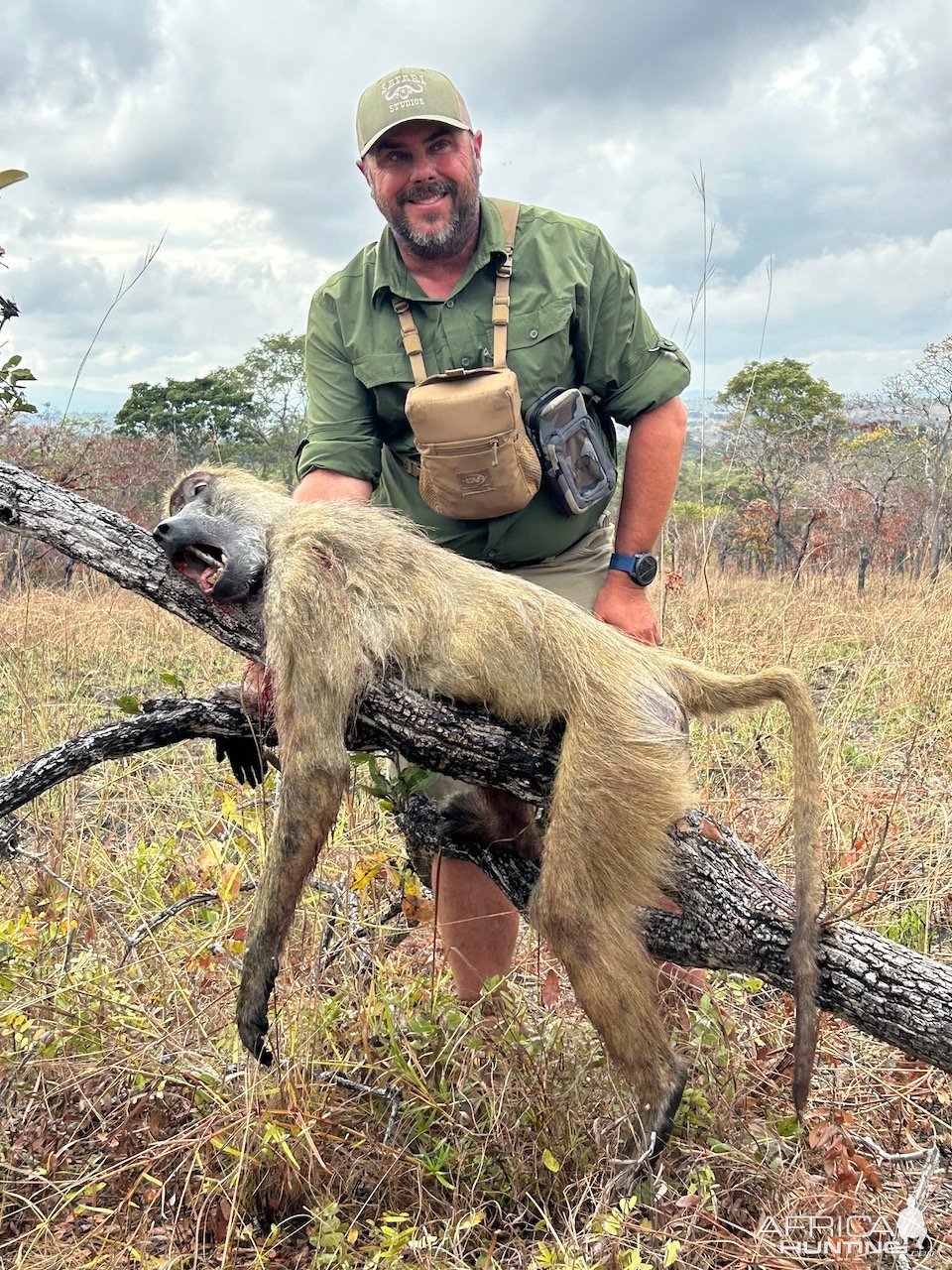 Baboon Hunting