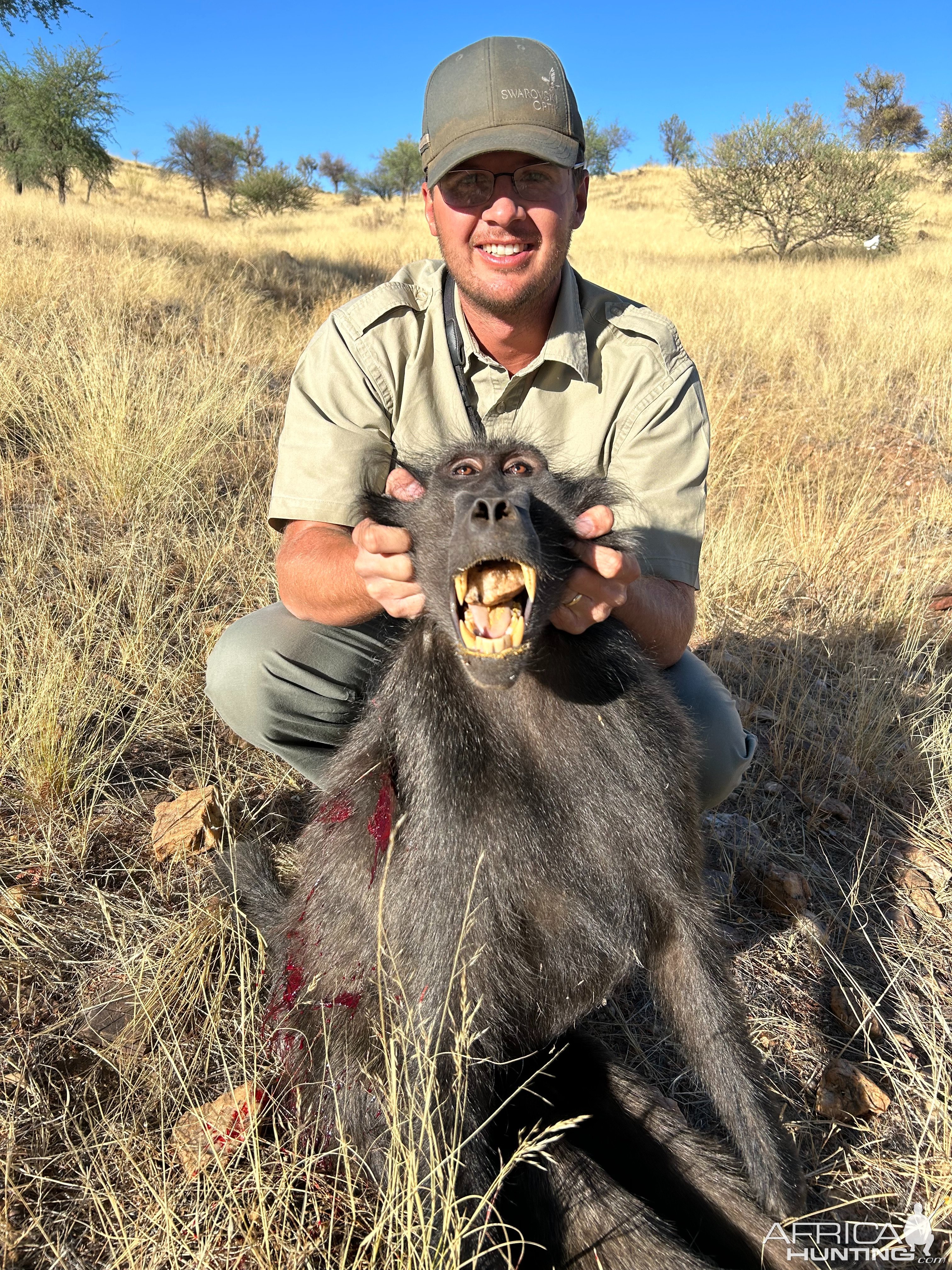 Baboon Hunting