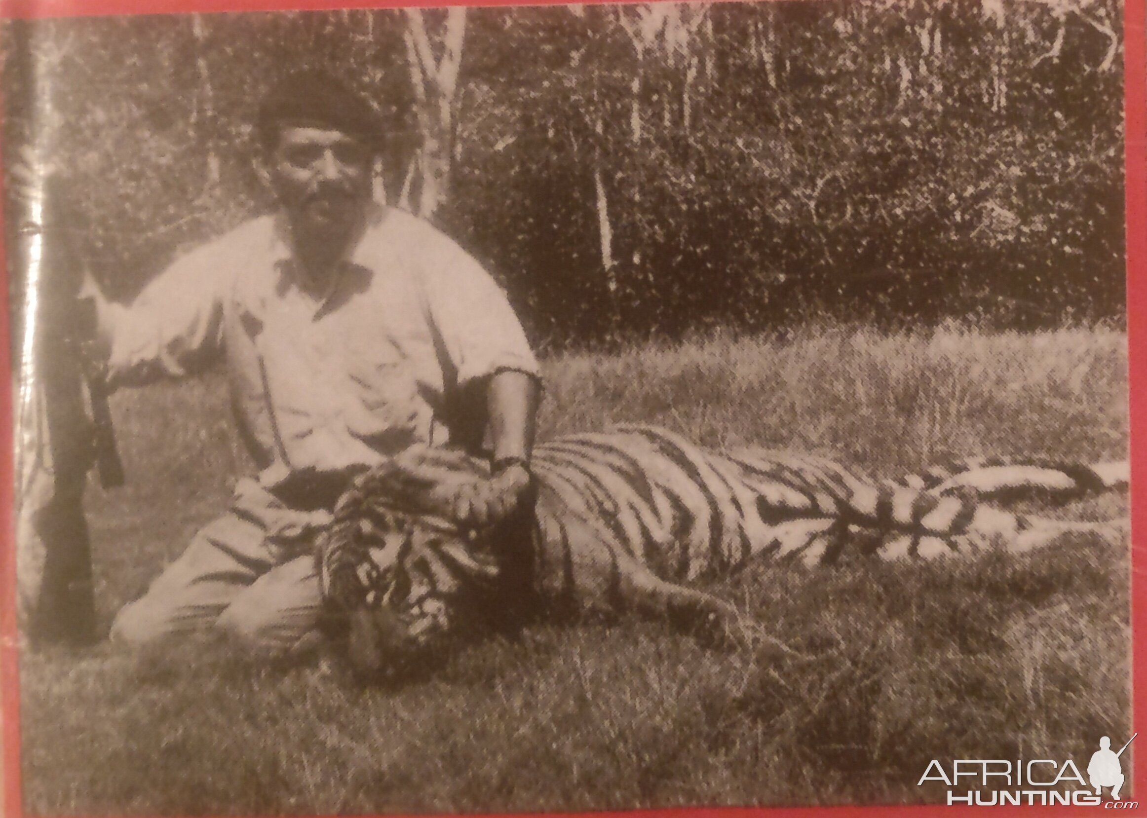 Bangladesh Hunting Royal Bengal Tiger