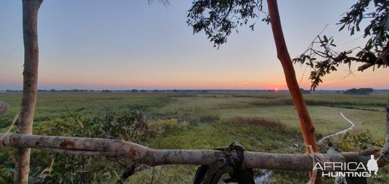 Bangweulu Wetlands Zambia