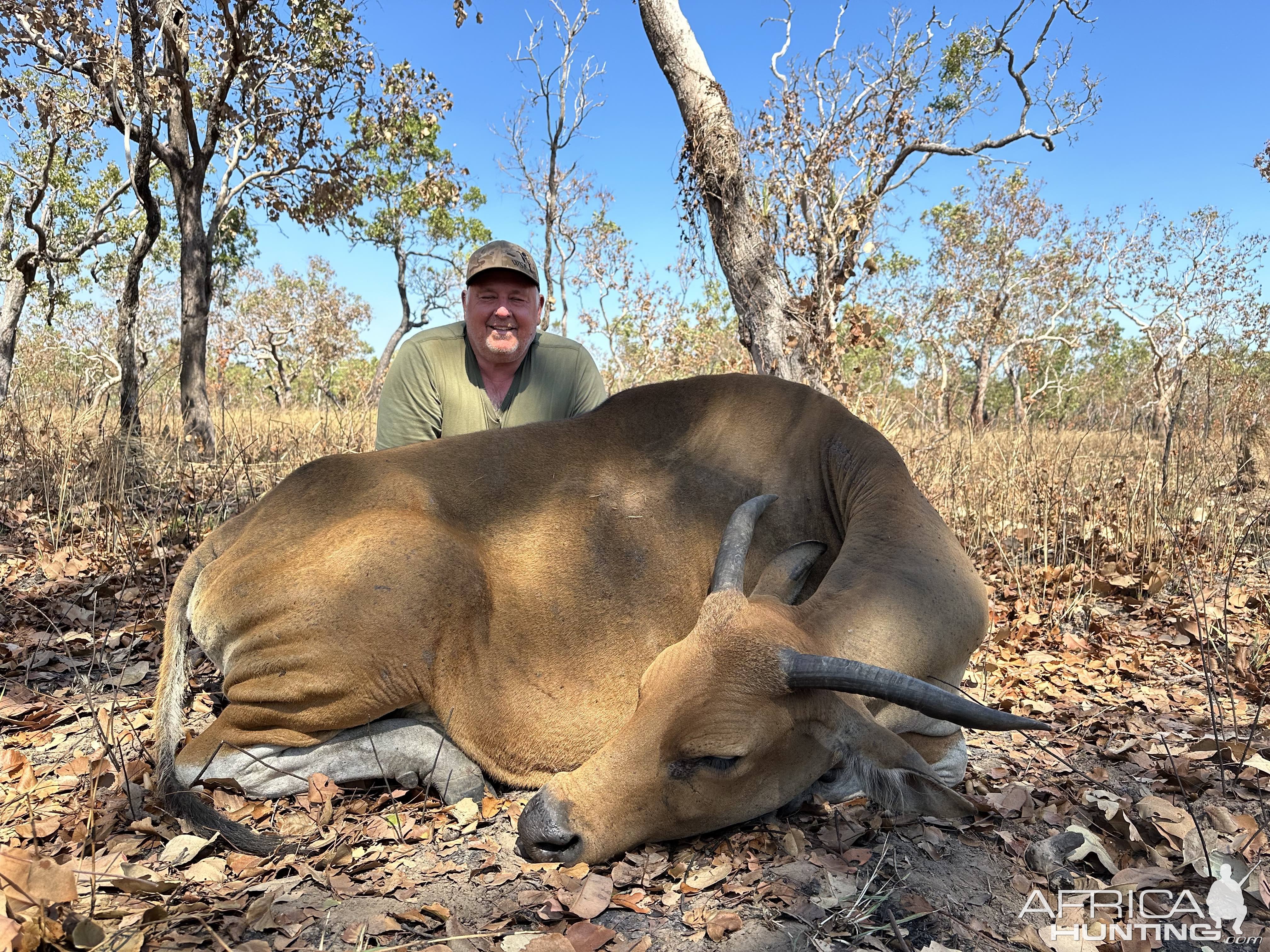 Banteng Hunt Australia