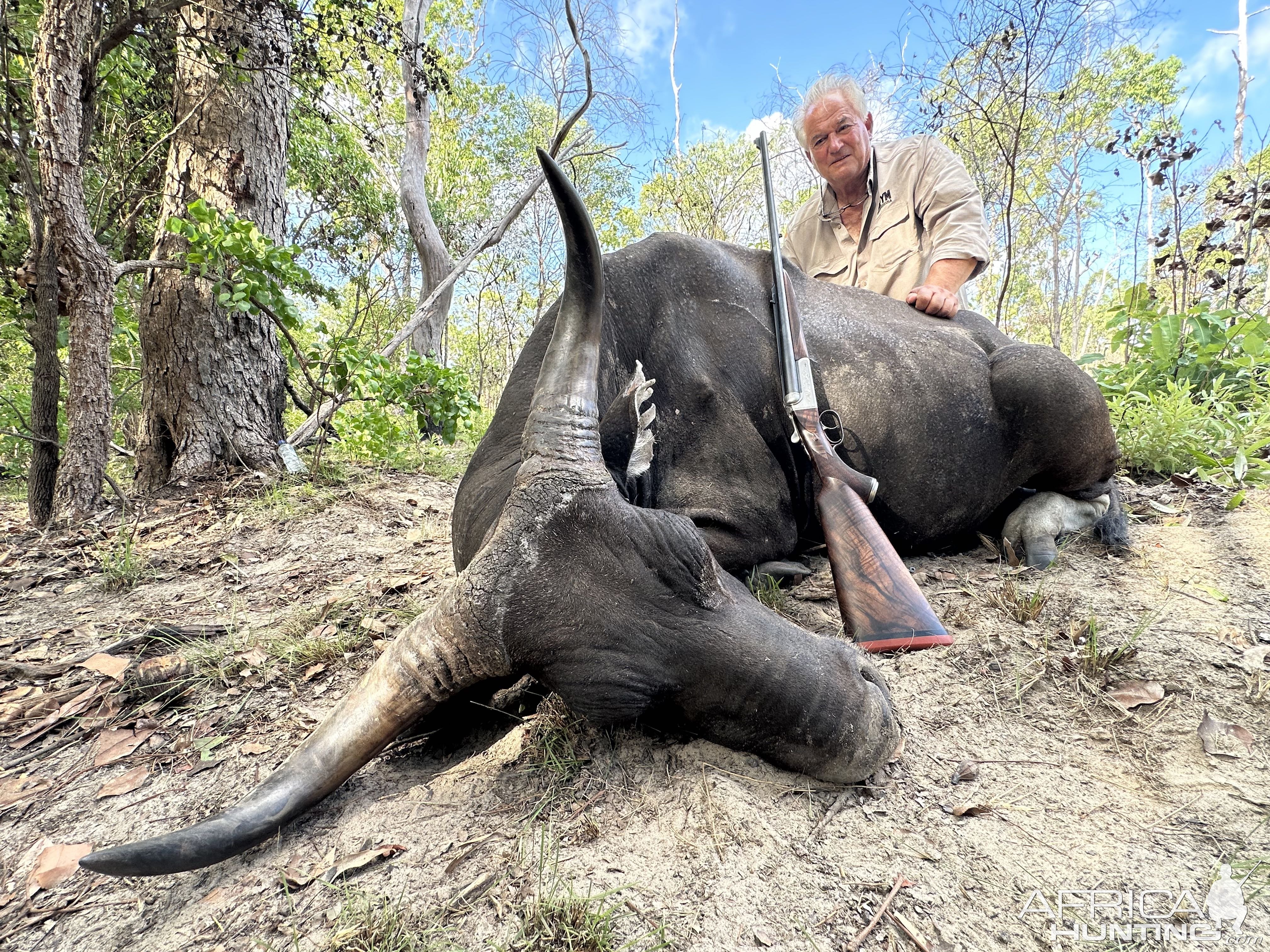 Banteng Hunting Australia