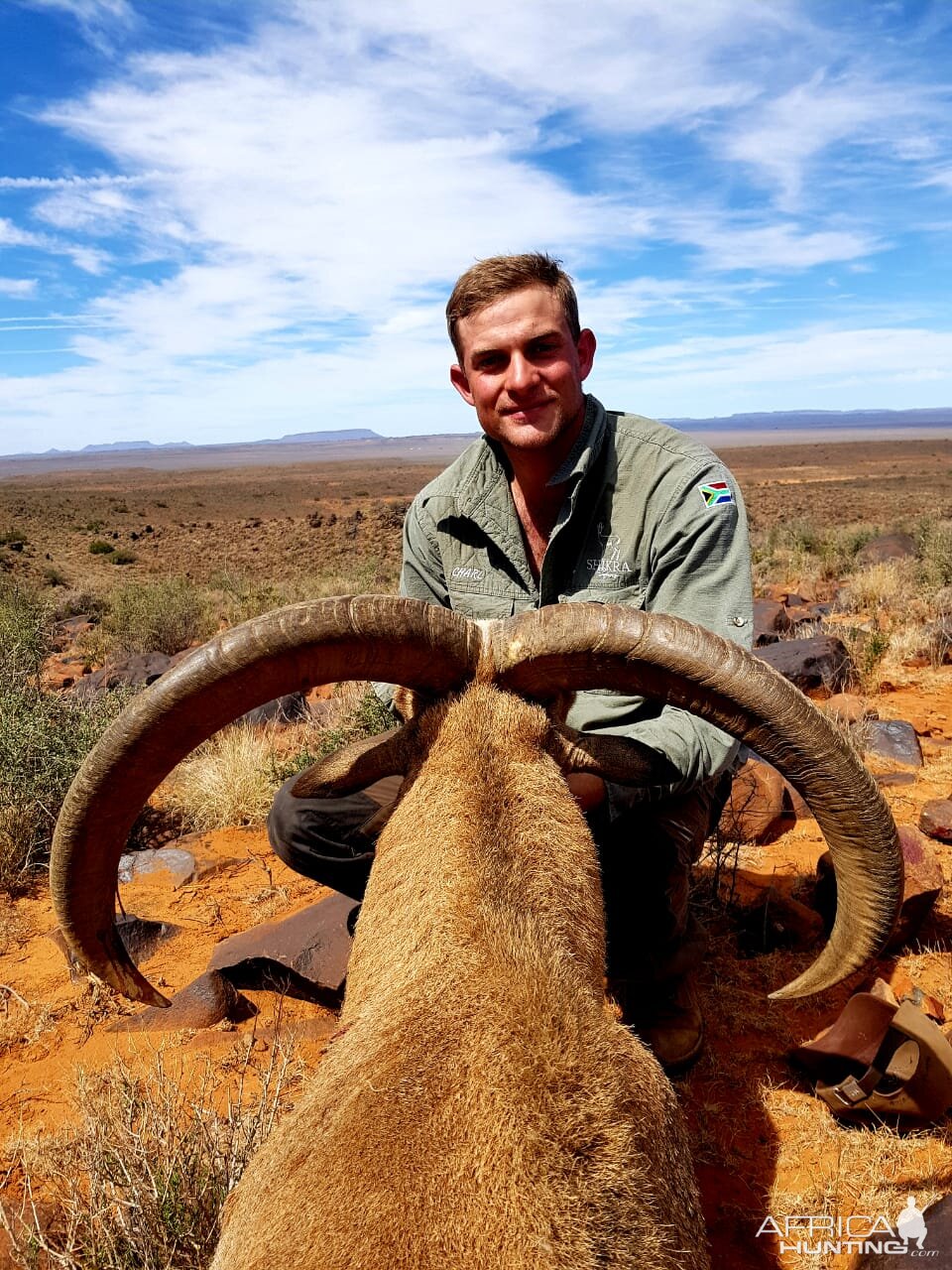 Barbary Sheep Hunt South Africa