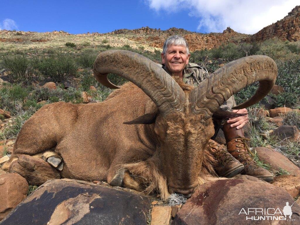 Barbary Sheep Hunt