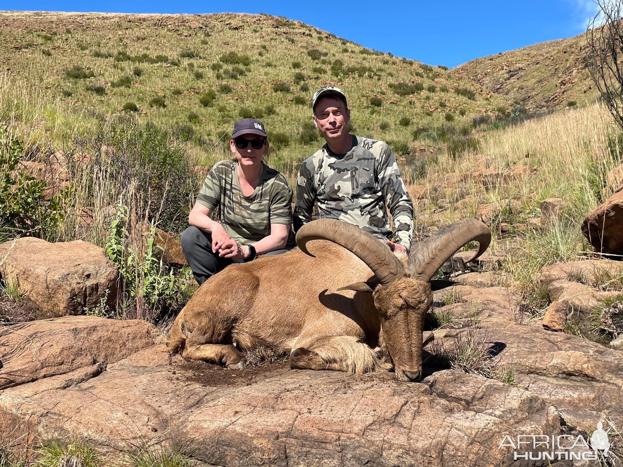 Barbary Sheep Hunting Eastern Cape South Africa