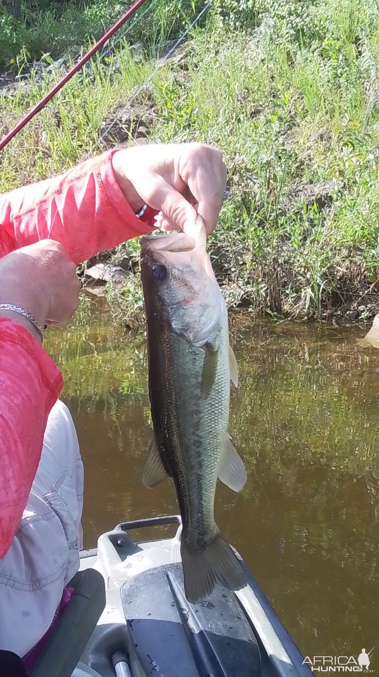 Bass Fishing Oklahoma