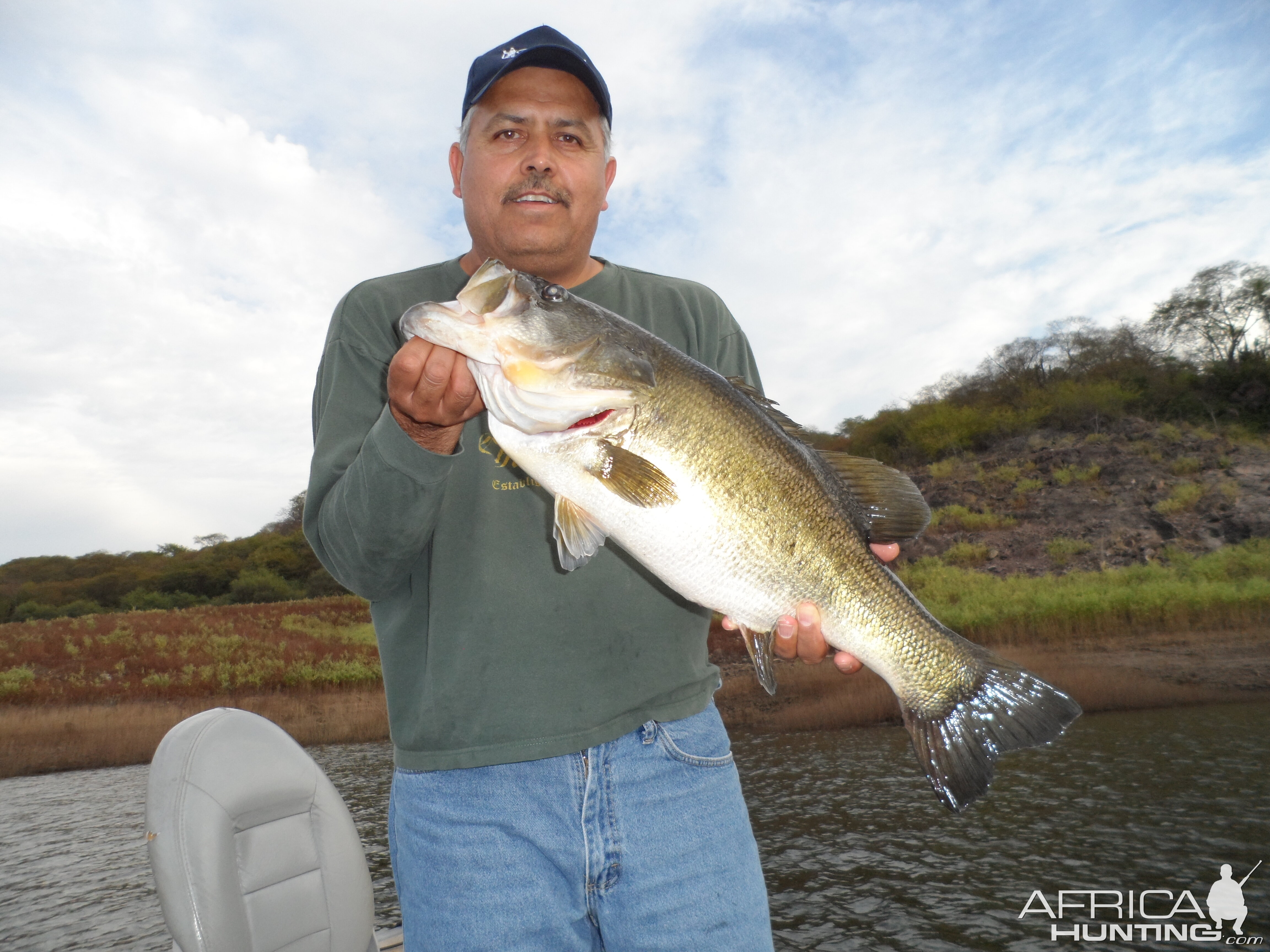 Bass of Sinaloa in Western Mexico