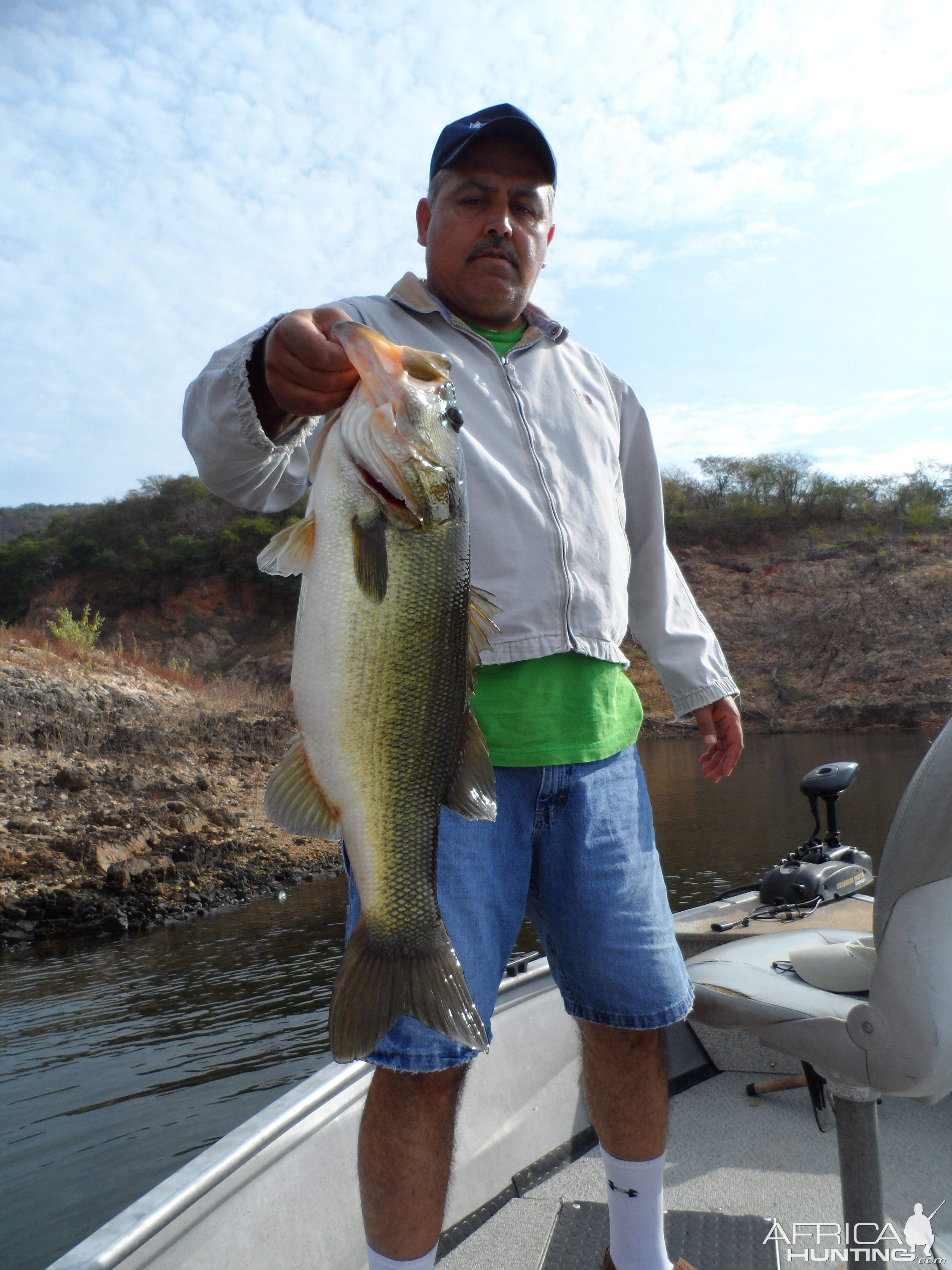 Bass of Sinaloa in Western Mexico