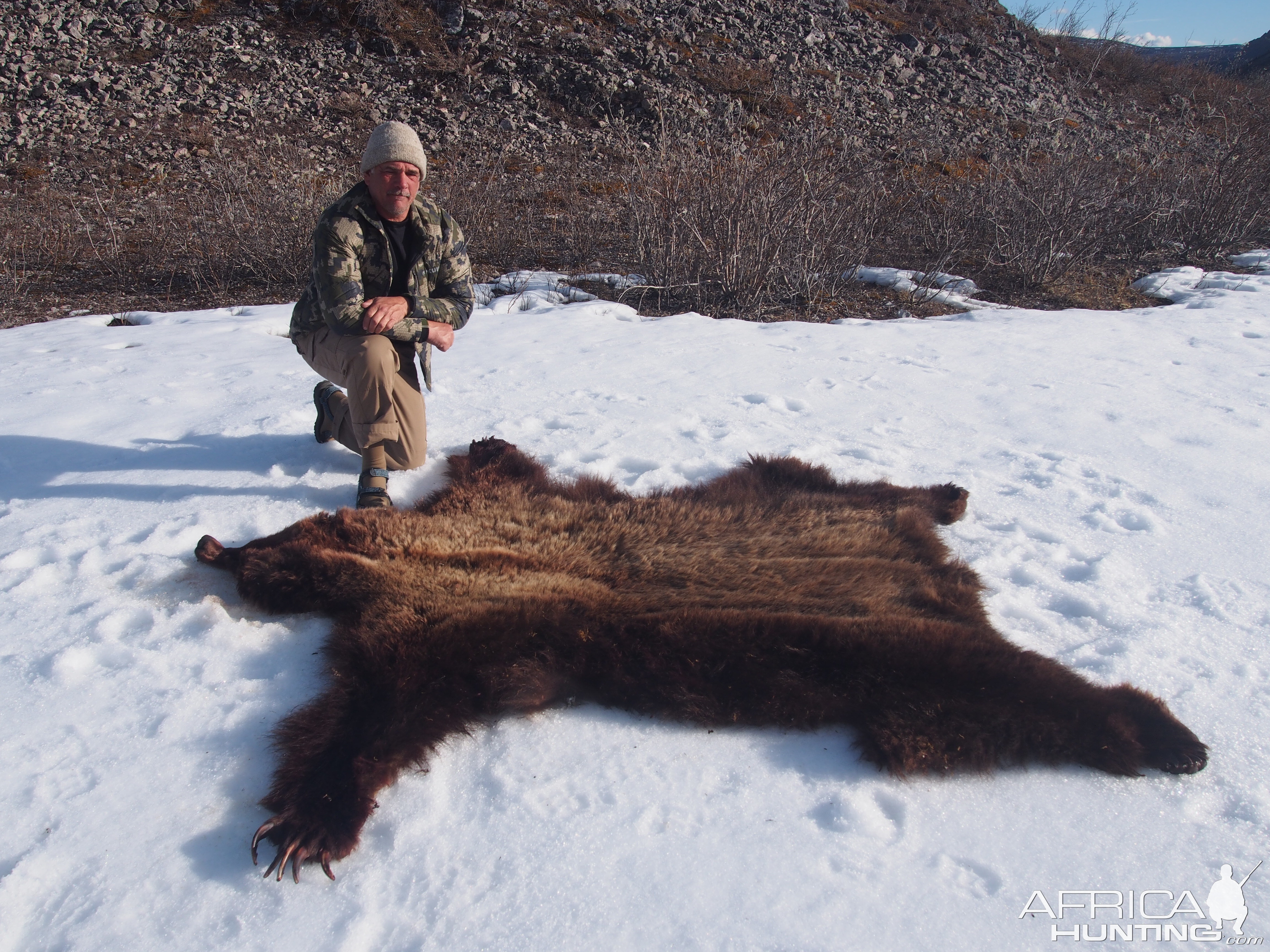 Bear Grizzly Hunt