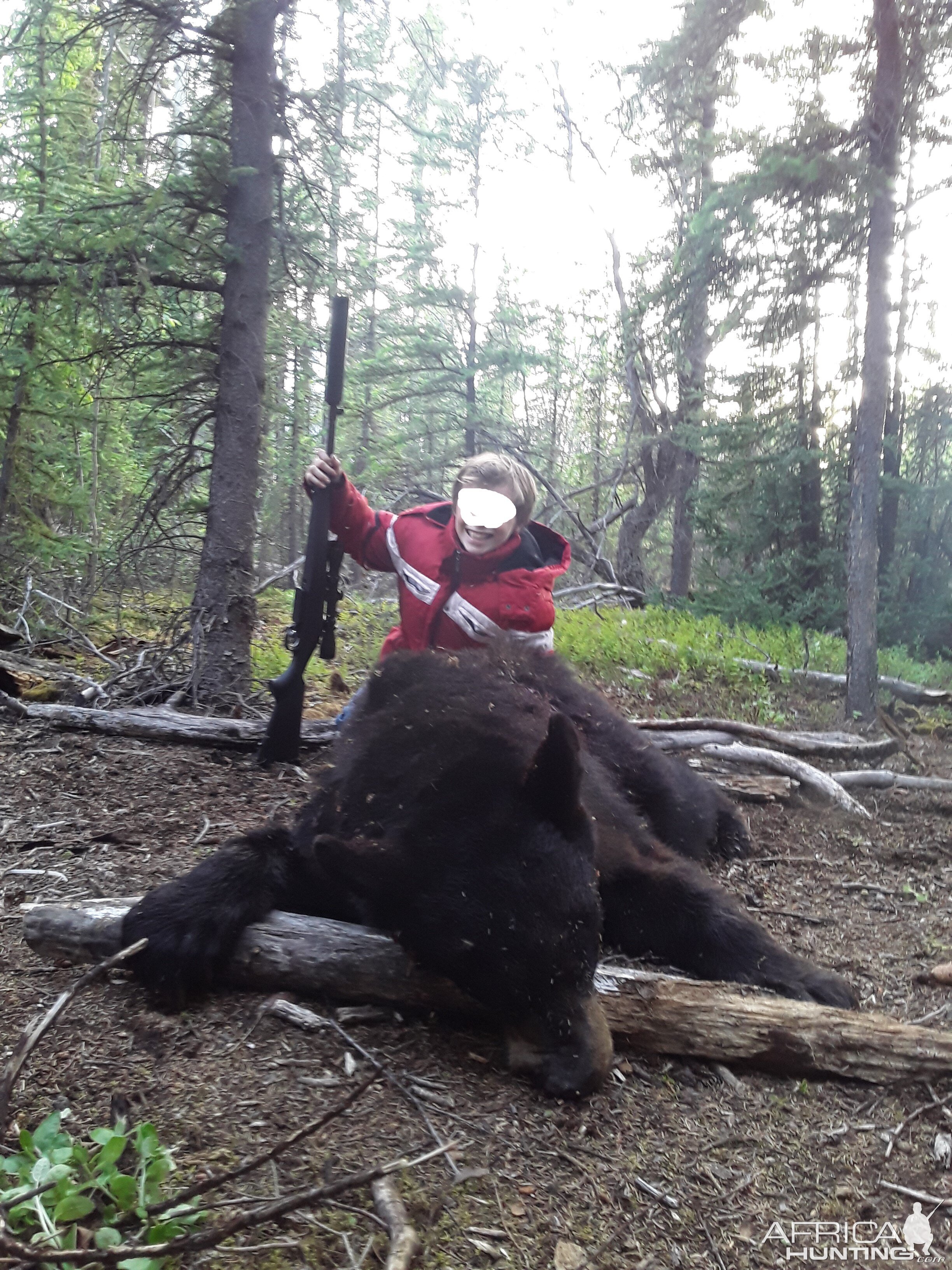 Bear Hunt Alaska USA