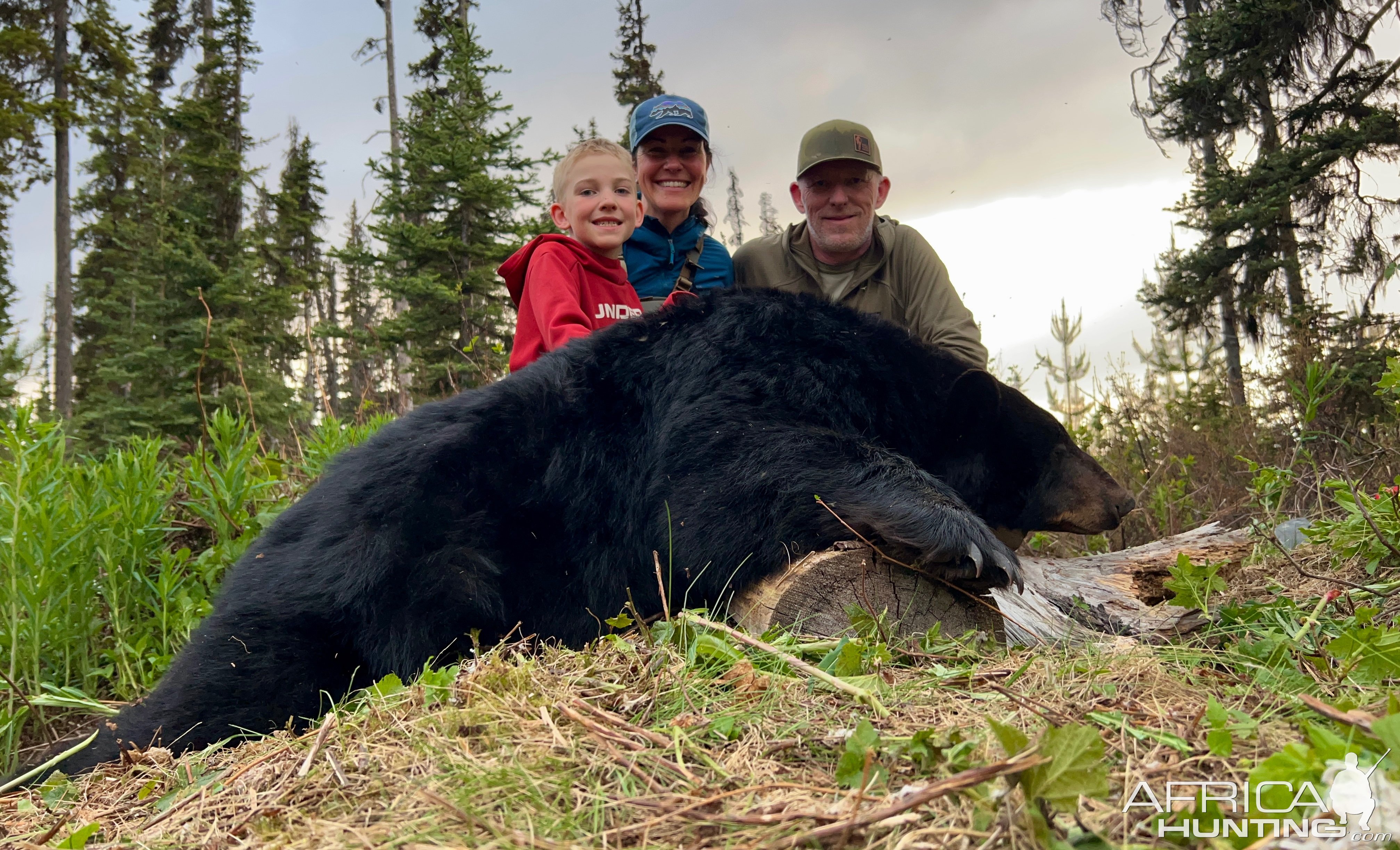 Bear Hunt Canada